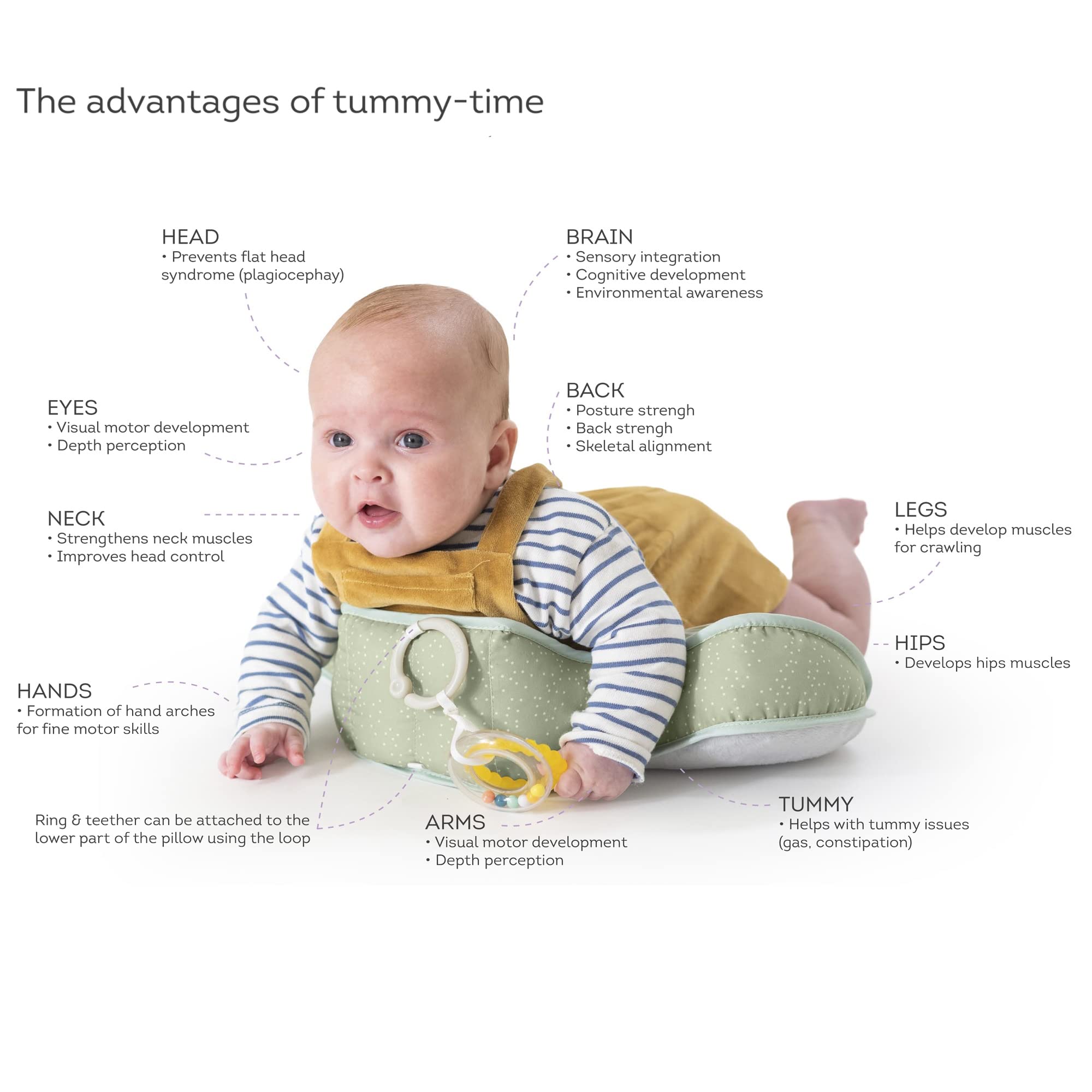 Taf Toys TAF12895 Savannah Tummy Time Pillow - Developmental Support for Babies 0-10 Years 6