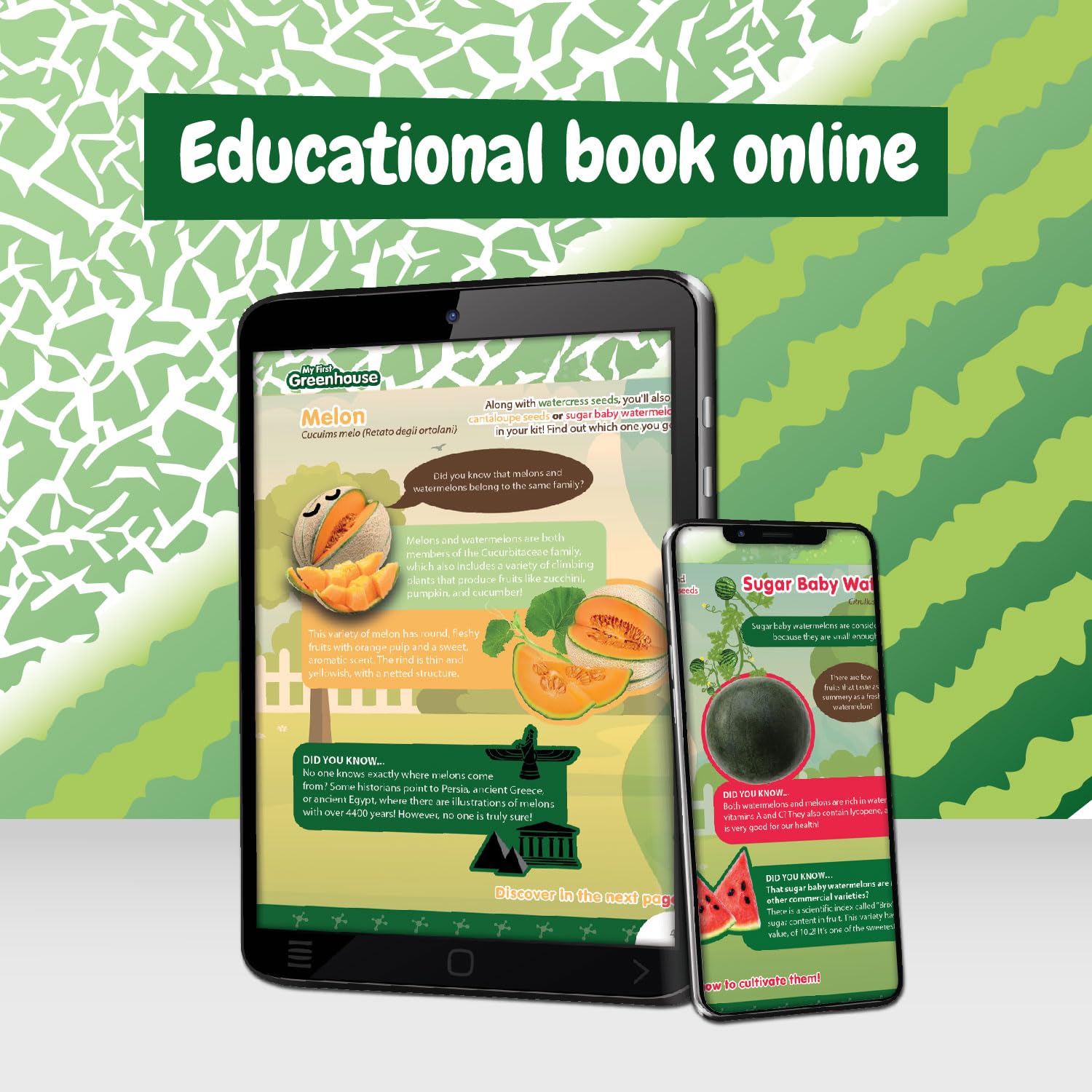 Science4you Small Greenhouse for Kids - Grow Kit with Watermelon, Melon & Watercress Seeds for Children 6+