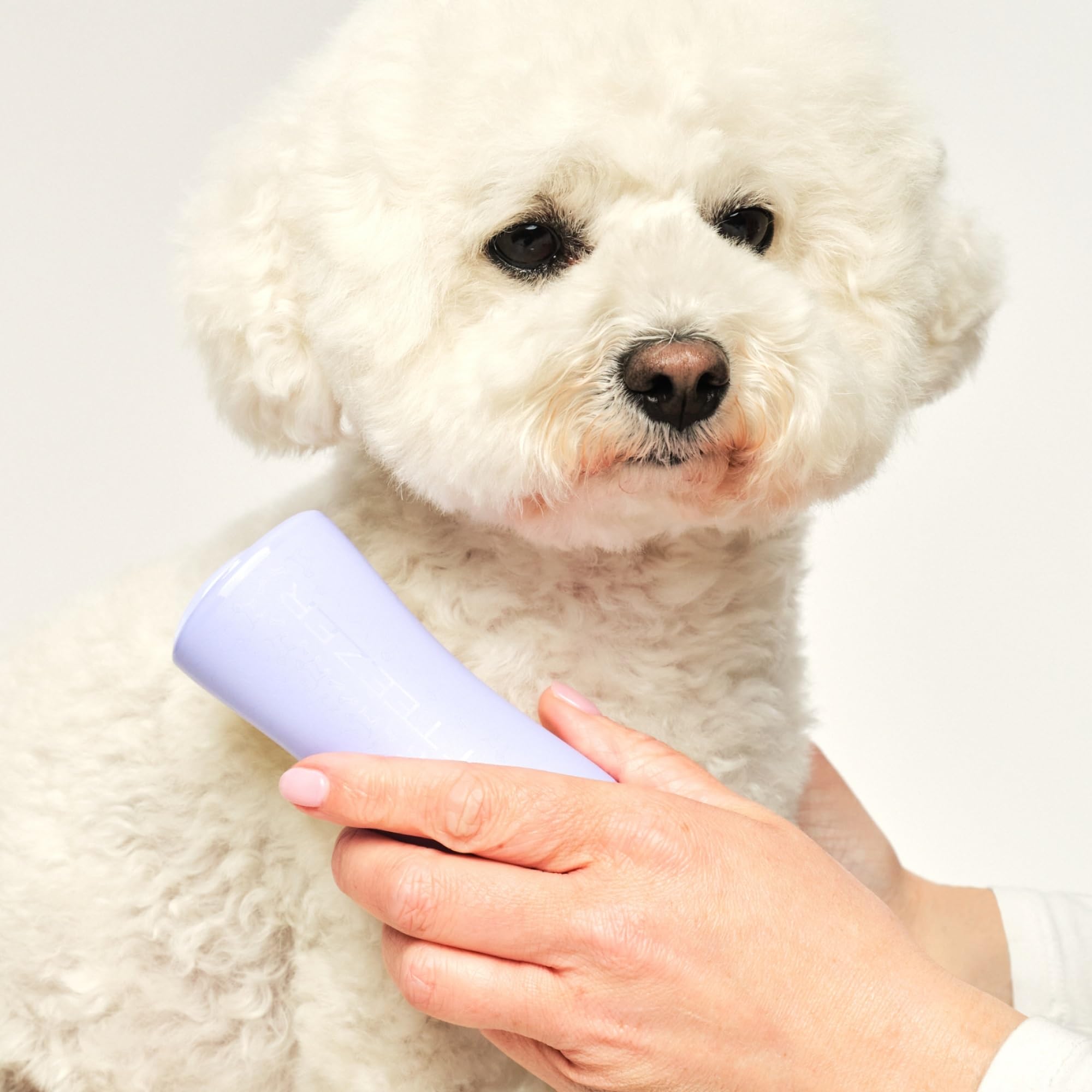 Pet Teezer Small Detangling Dog Grooming Brush - Ergonomic Design, Gentle Polymer Teeth, Dual-Tier System | Lilac & Yellow 3