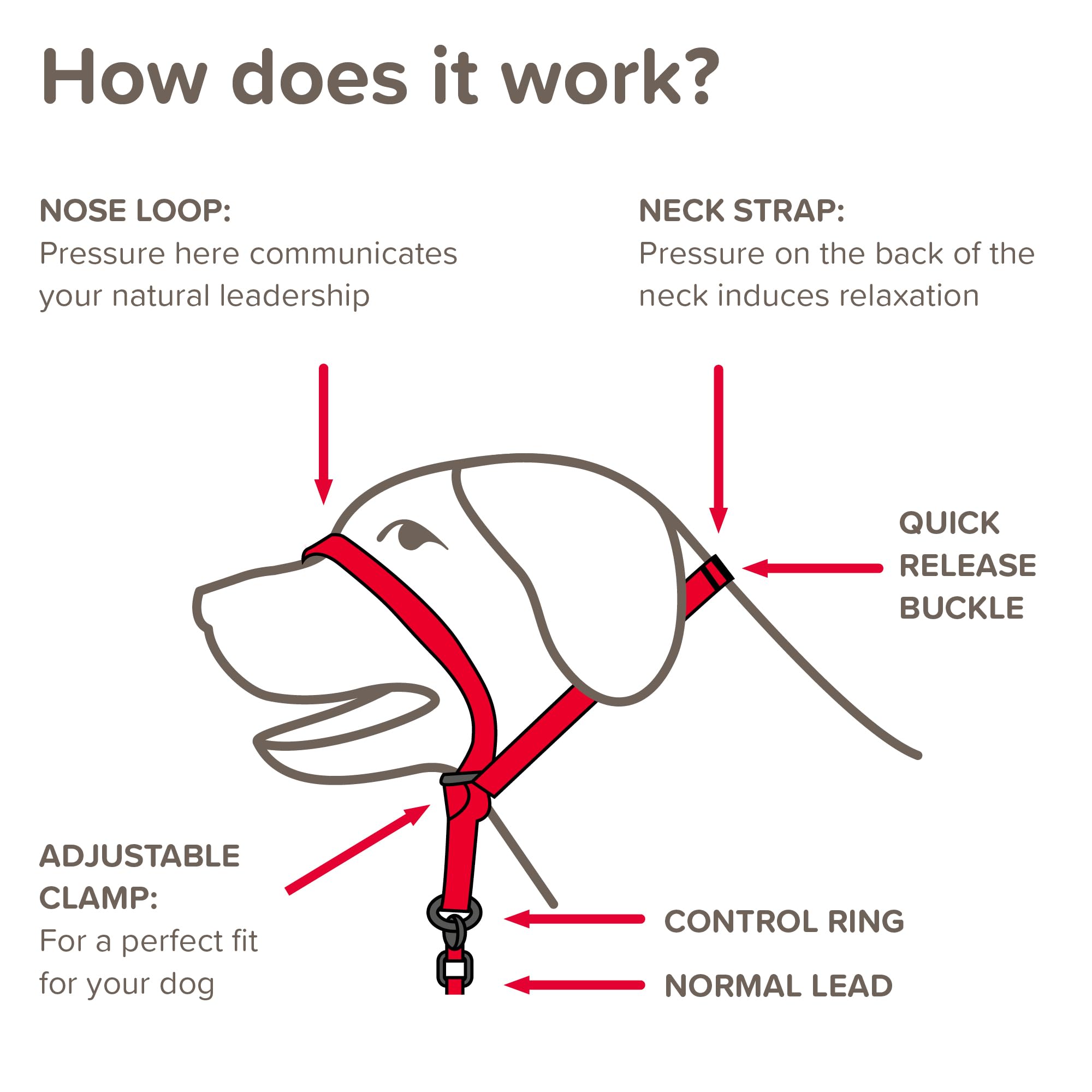 Beaphar Gentle Leader Headcollar - Stops Pulling | Large Dogs | Red 3