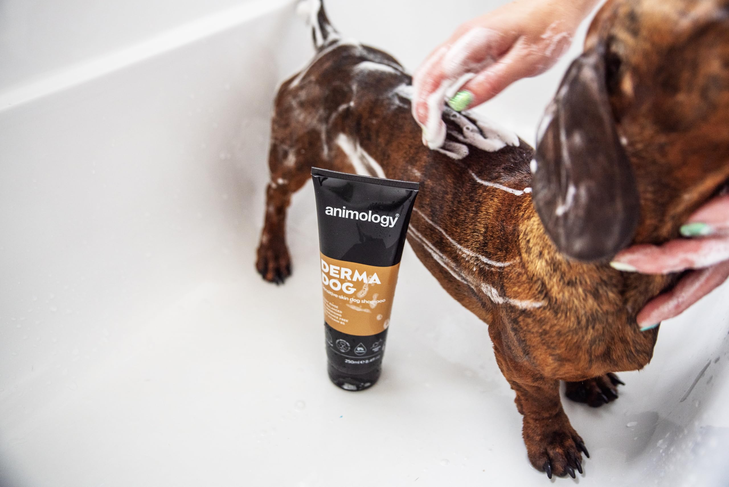 Animology Derma Dog Fragrance Free Mild Shampoo for Dogs | 250 ml | pH Balanced