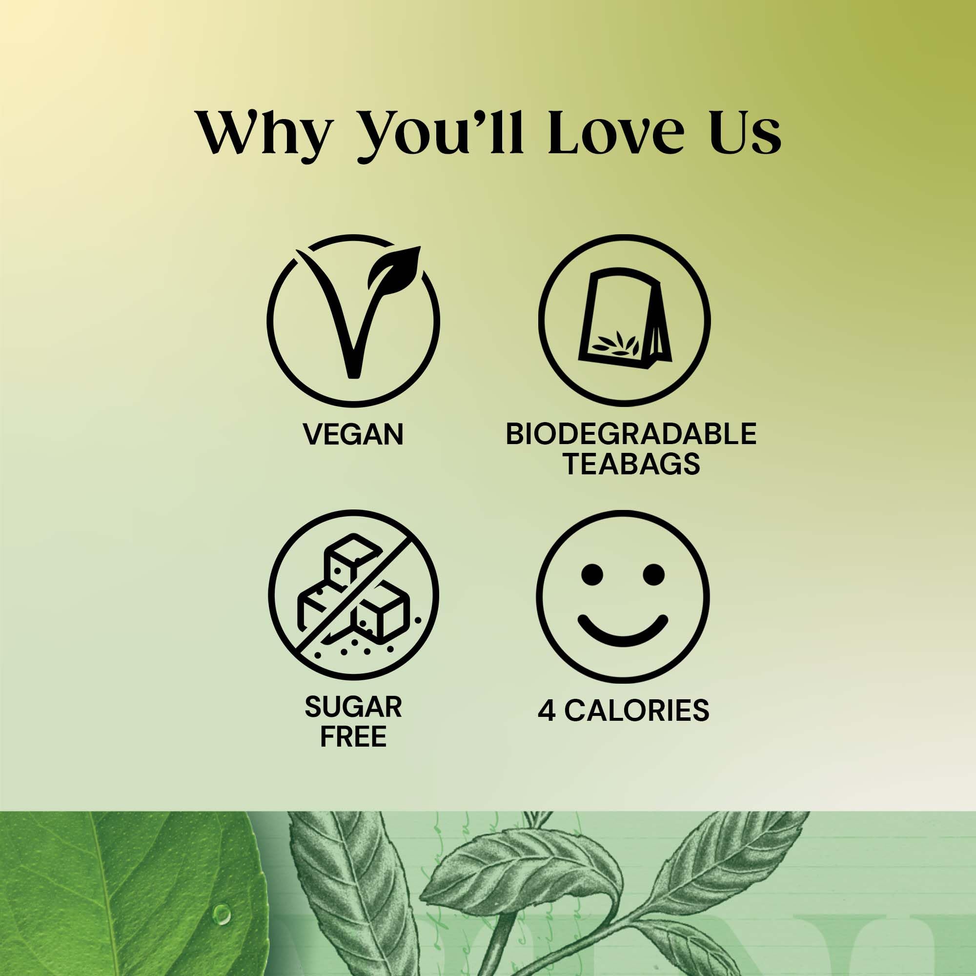 Twinings Decaf Pure Green Tea, Pack of 20 Tea Bags 9