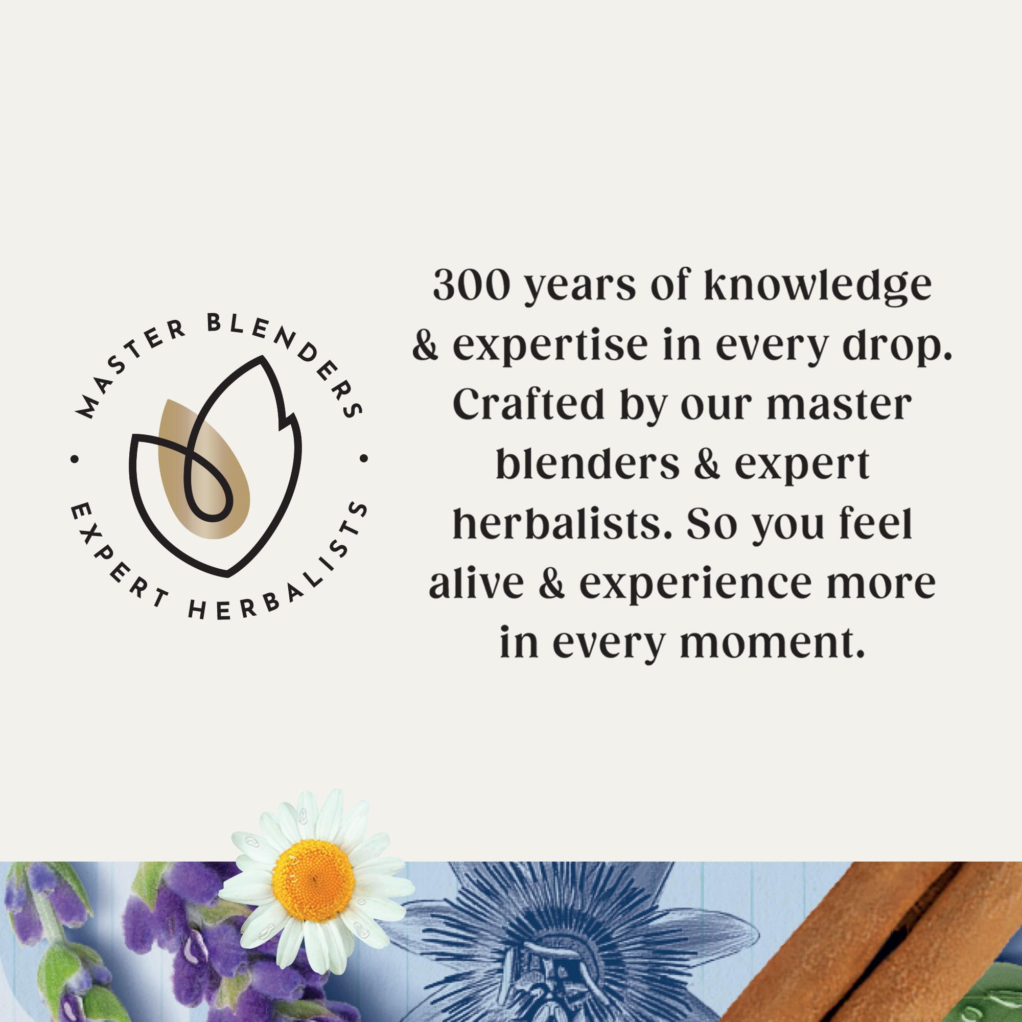 Twinings Wind Down Collection - Herbal Tea Selection for Sleep, Calm & Relaxation 5