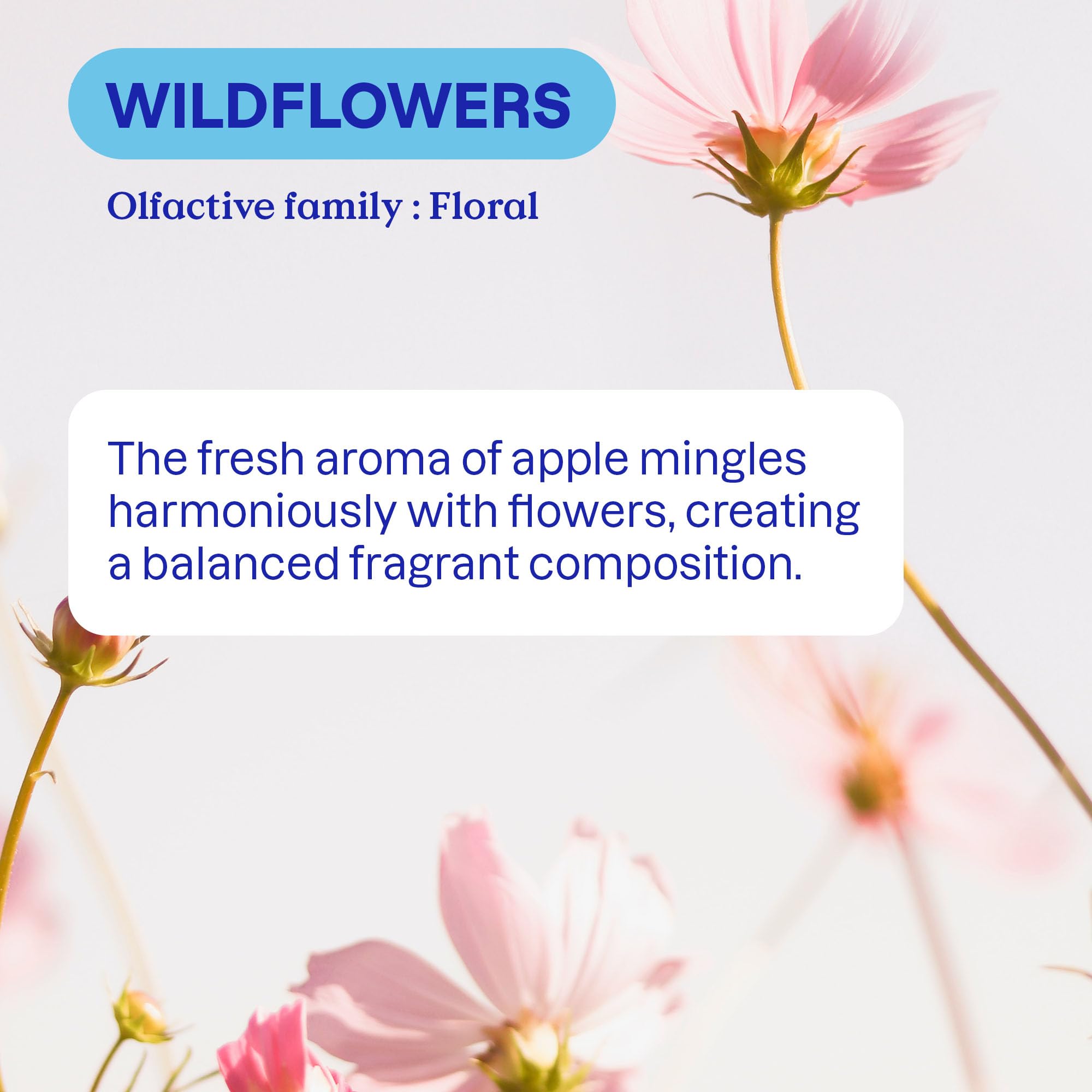 ATTITUDE - Washing Up Liquid, EWG Verified, Plant-Based & Vegan Dish Soap 6