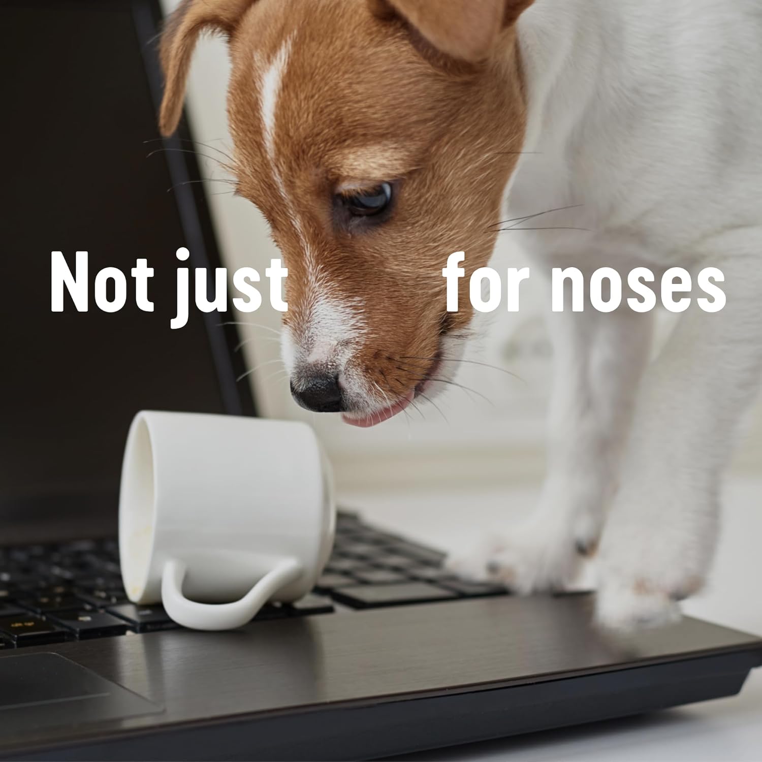 Kleenex Original Facial Tissues - Pack of 12 Boxes (768 Tissues) - Soft & Strong 3-Ply Tissues with Touch of Cotton 5