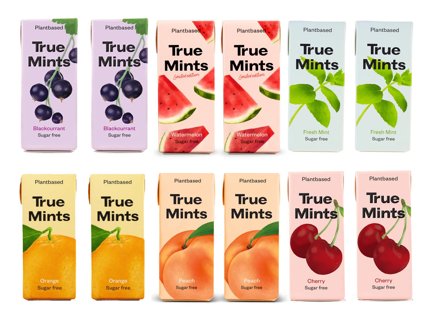 True Gum Sugar-Free Mints - Xylitol Pastilles, Vegan Certified, 12-Pack
