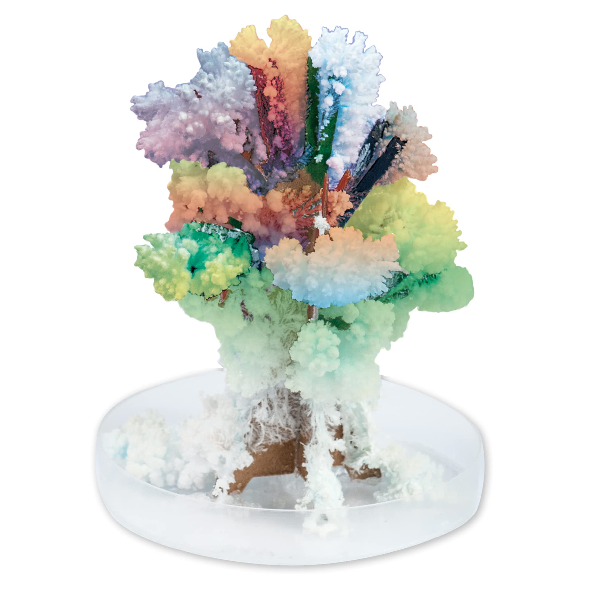 Horrible Science - Creepy Crystals Science Kit for Kids, Ages 8+ 5