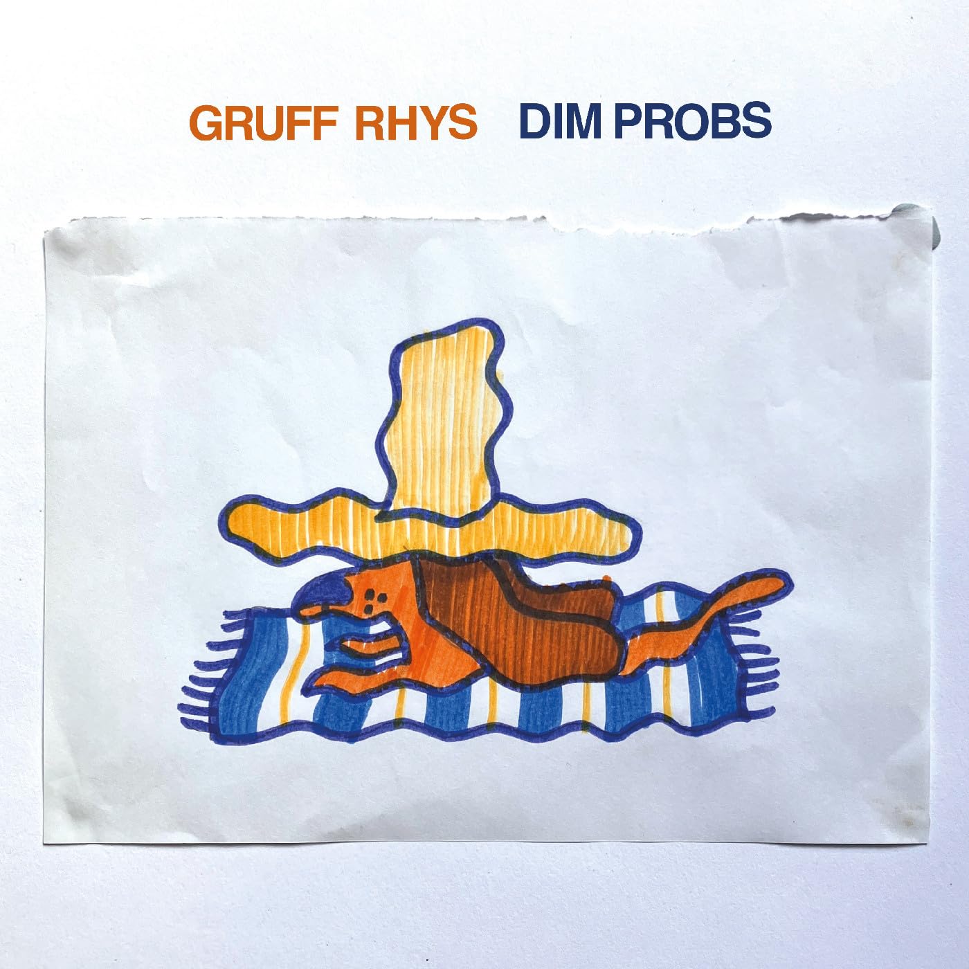Gruff Rhys - Dim Probs [Audio CD]