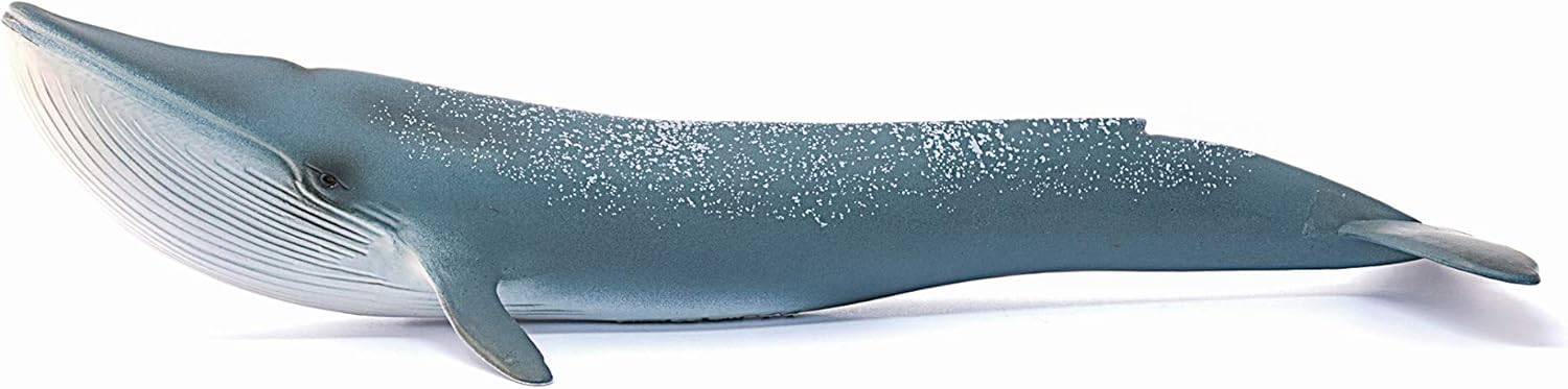 Schleich 14806 Blue Whale - Educational Play Figure for Ages 3+ 4
