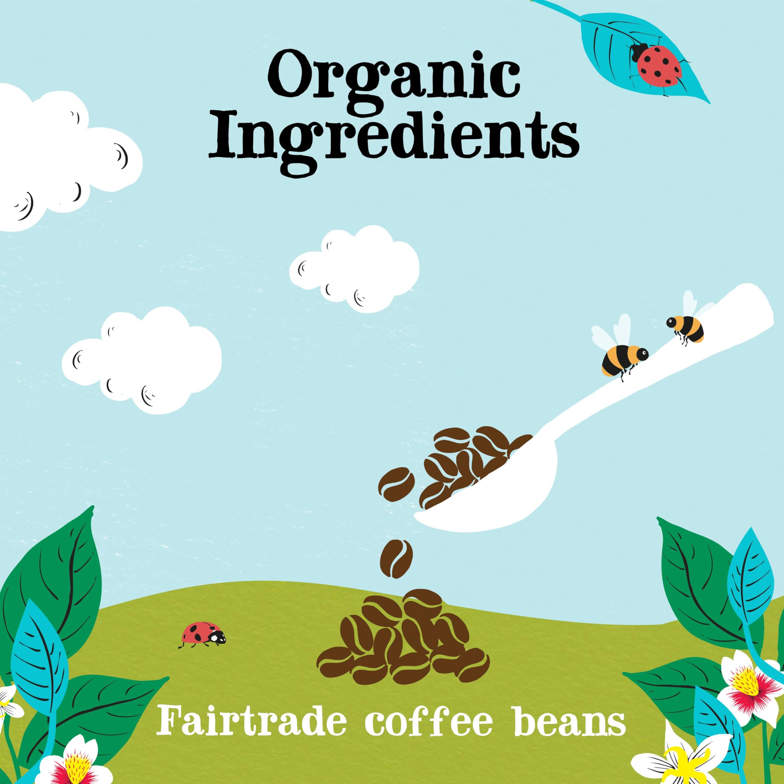 Clipper Organic Latin American Instant Decaf Coffee | 6 x 100g Jars | Fairtrade & Non-GM 3