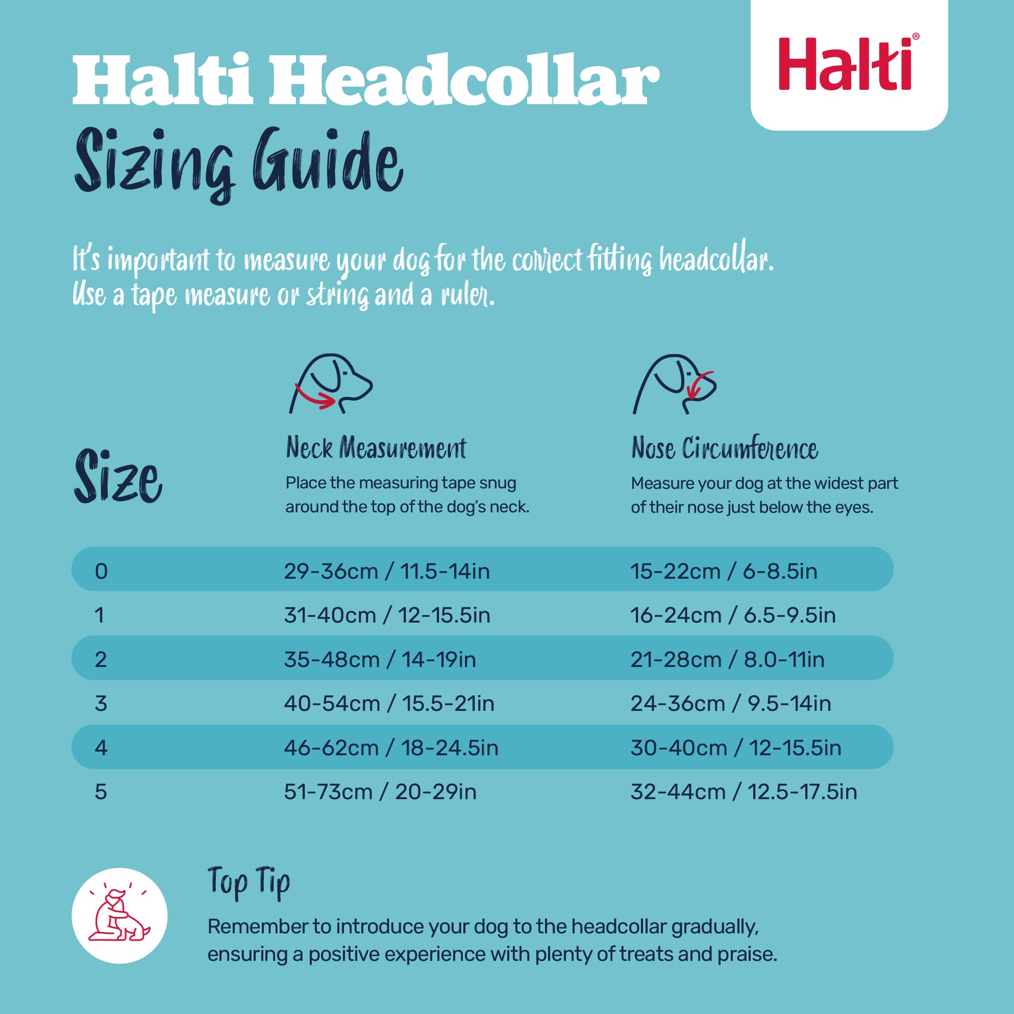 Halti Headcollar - Stop Pulling for Medium Dogs | Size 3, Deep Walnut, Reflective 5