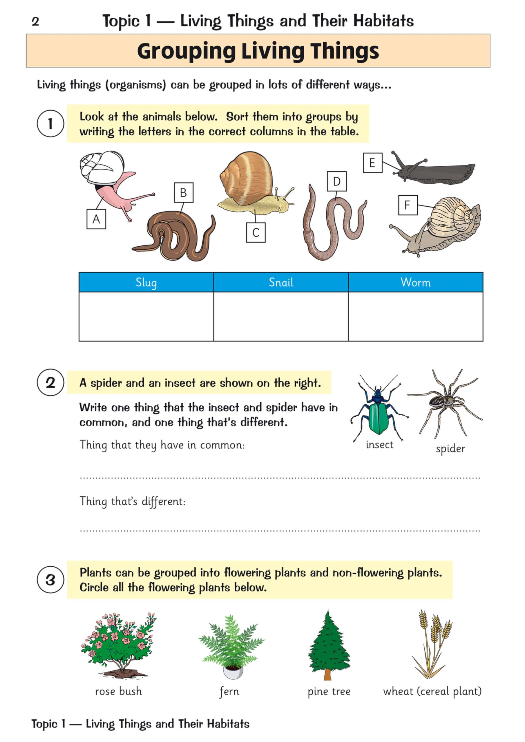 Coordination Group Publications Ltd (CGP) KS2 Science Year 4 Targeted Question Book - Ages 8+ | Paperback | 48 Pages