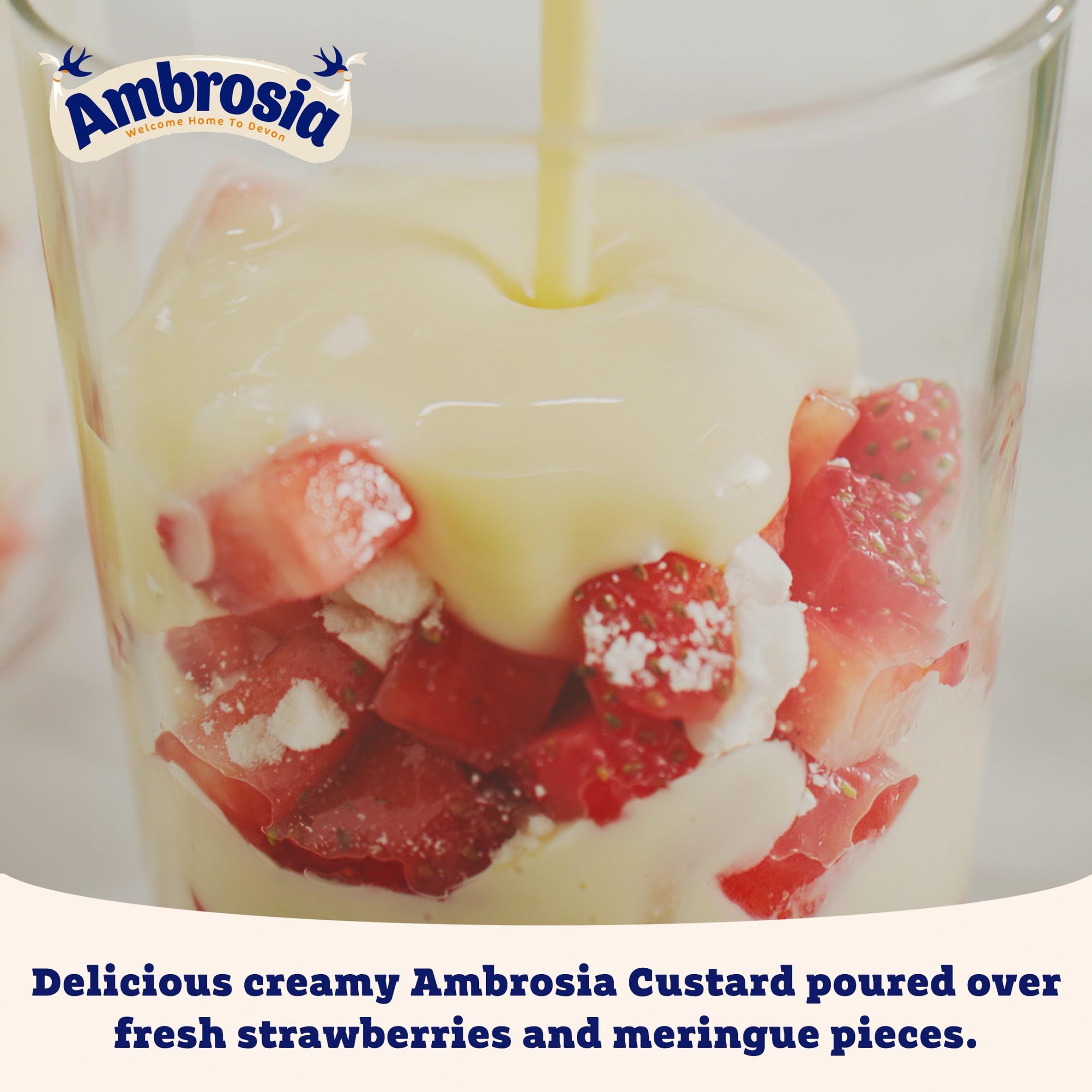 Ambrosia - Devon Custard Traditional 1 kg (1er-Packung) 3