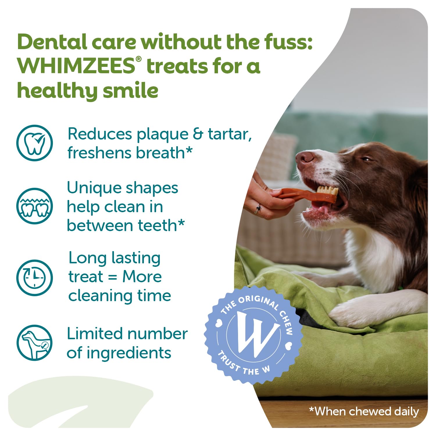 WHIMZEES Toothbrush XS Dog Dental Chews - 48 Pieces | Natural, Grain-Free, Vegetarian 2