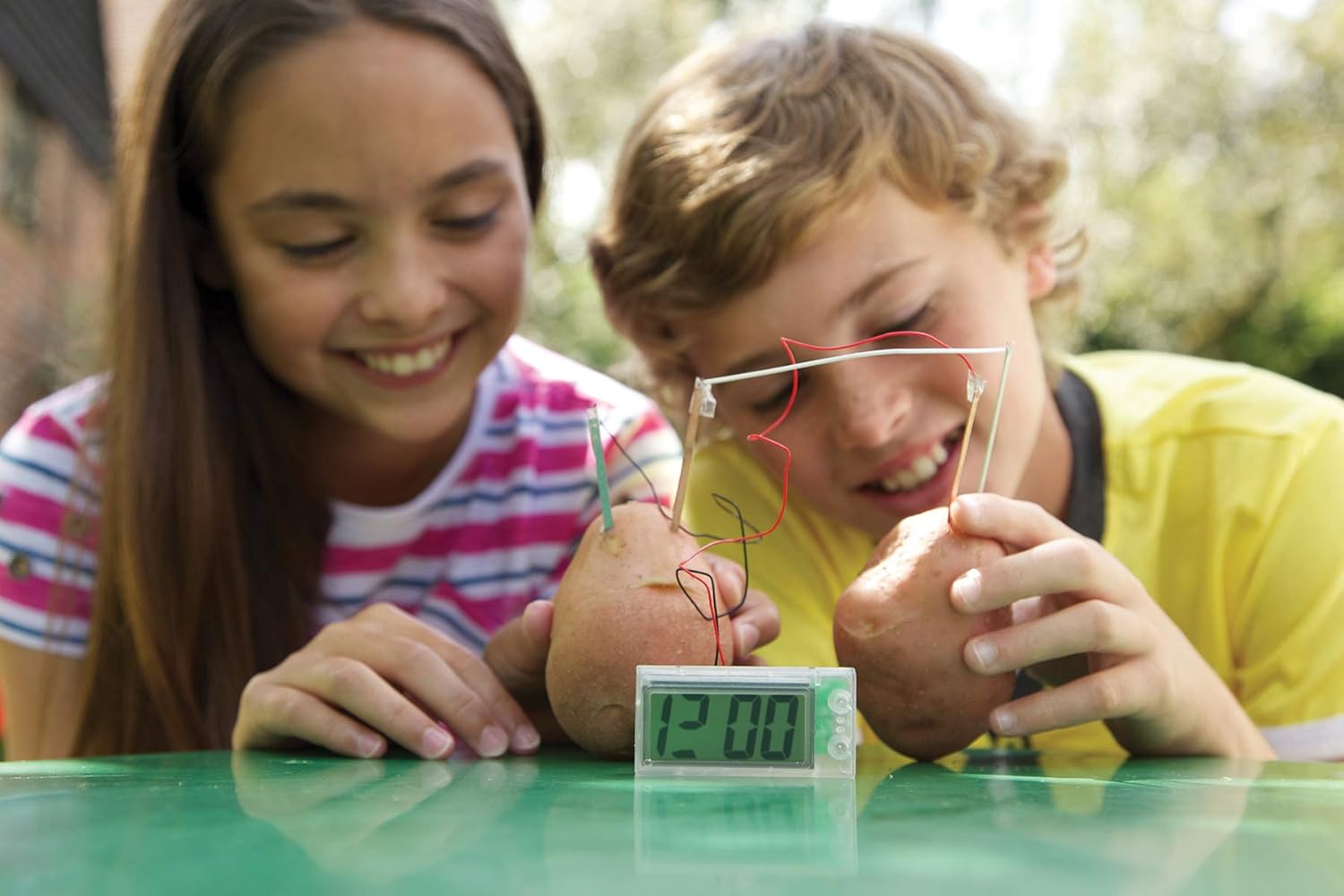 Science Museum Potato Clock - Educational Science Kit 3