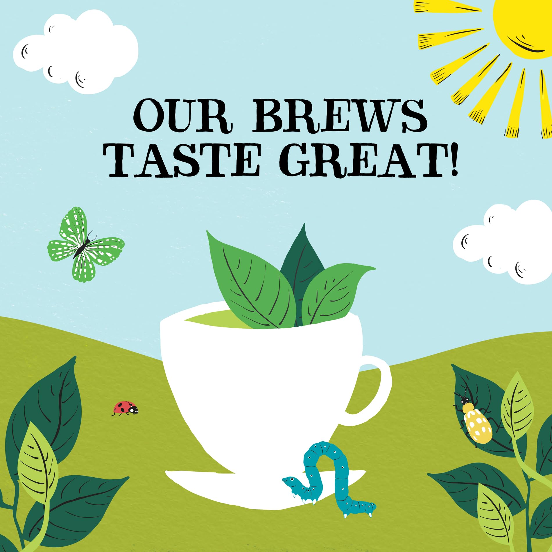 Clipper Bio-Grünteebeutel – Schachtel mit 40 Fairtrade- und biologisch abbaubaren Teebeuteln 10