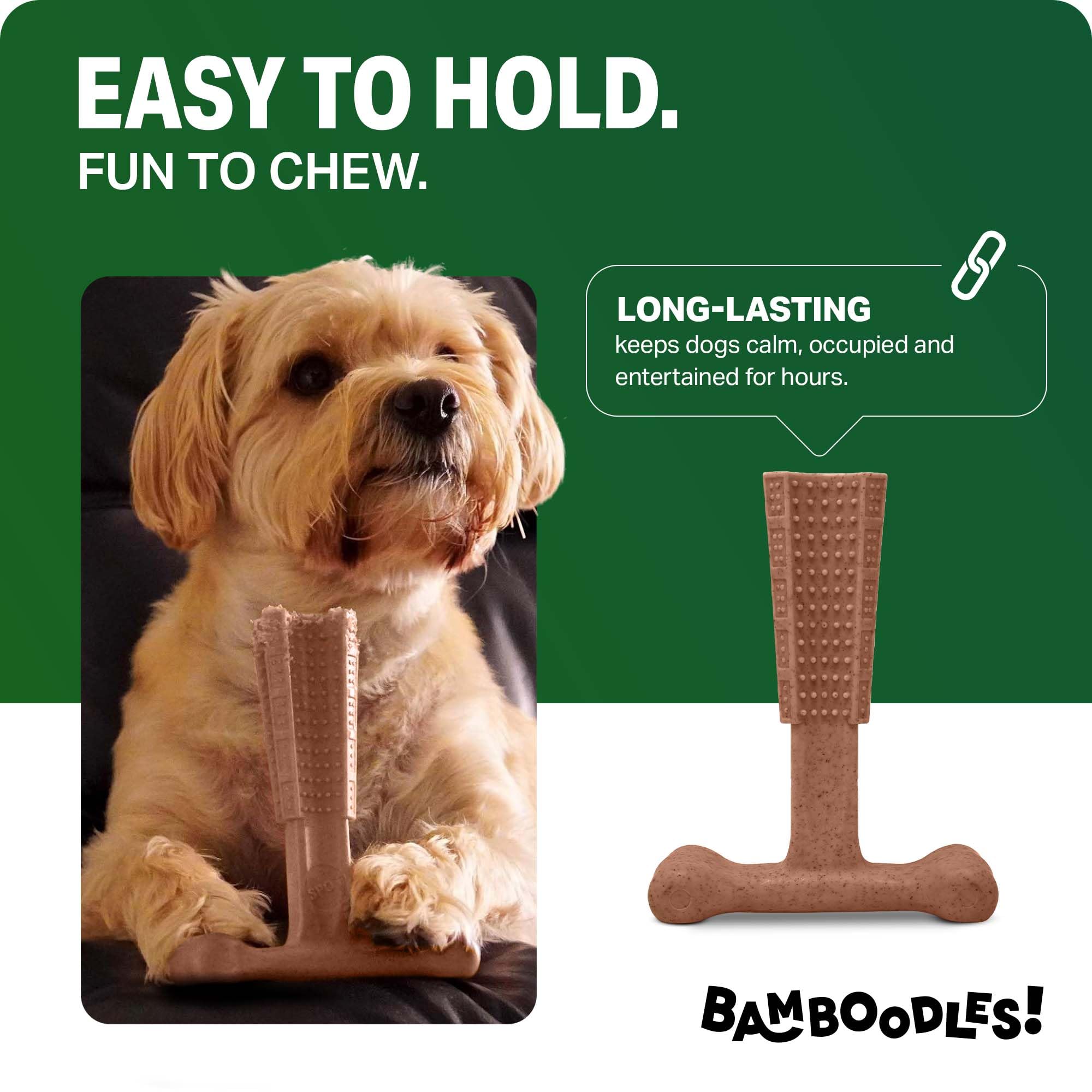 Bamboodles T Bone Dog Chew for Medium Dogs | Beef Flavor | Durable Bamboo & Nylon 2