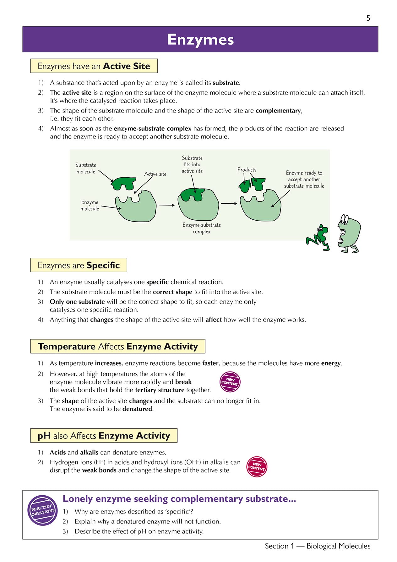 CGP Head Start to A-Level Biology - Bridging GCSE to A-Level Prep | Paperback 6