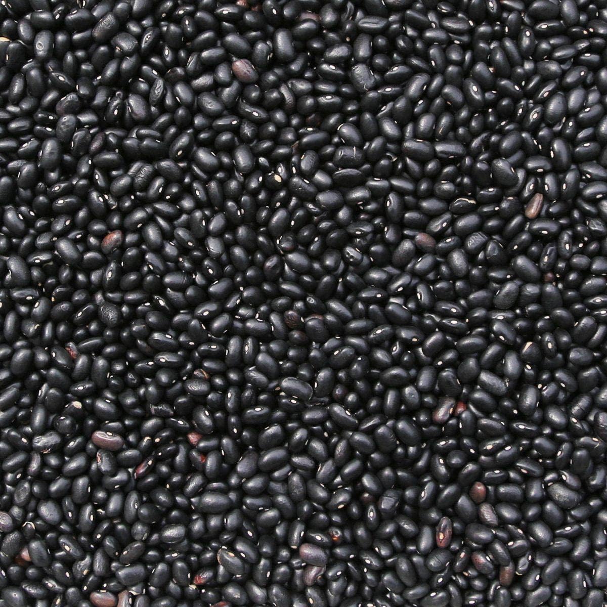Wholefood Earth Black Beans 1 kg | GMO Free | Natural | High Fibre | High Protein | Vegan 3
