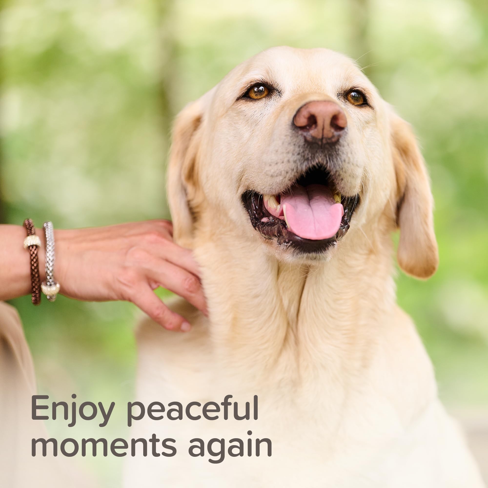 Beaphar StressLess Herbal Calming Spot-On for Dogs - 3 Pipettes | Up to 3 Weeks Support 7