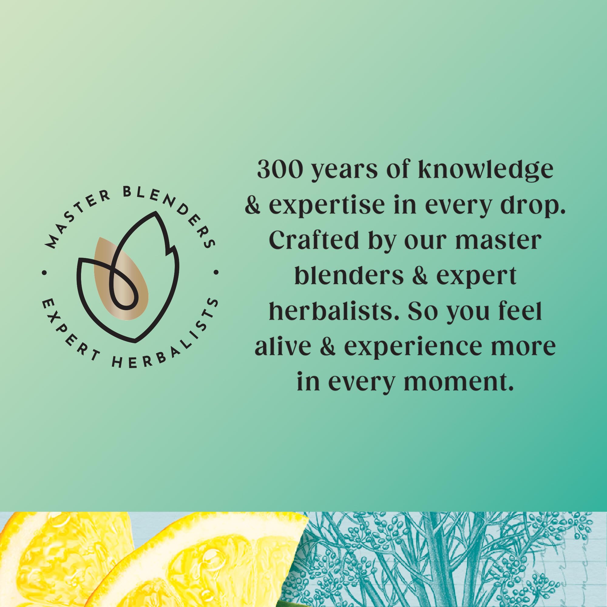 Twinings Detox Lemon Ginger & Burdock Root Herbal Tea Infusion 3