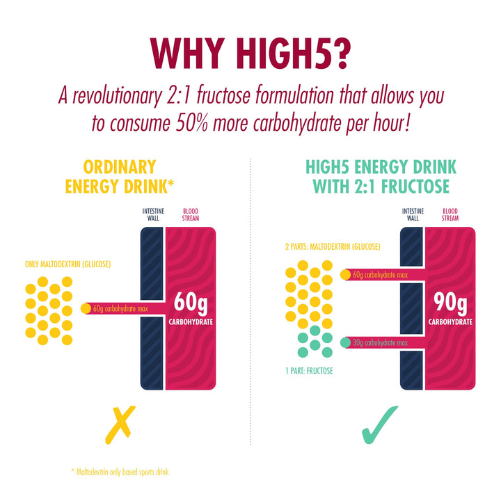 HIGH5 - Energy Drink With Protein Blend of Carbohydrates, Protein & Electrolytes (Berry, 12 x 47g)