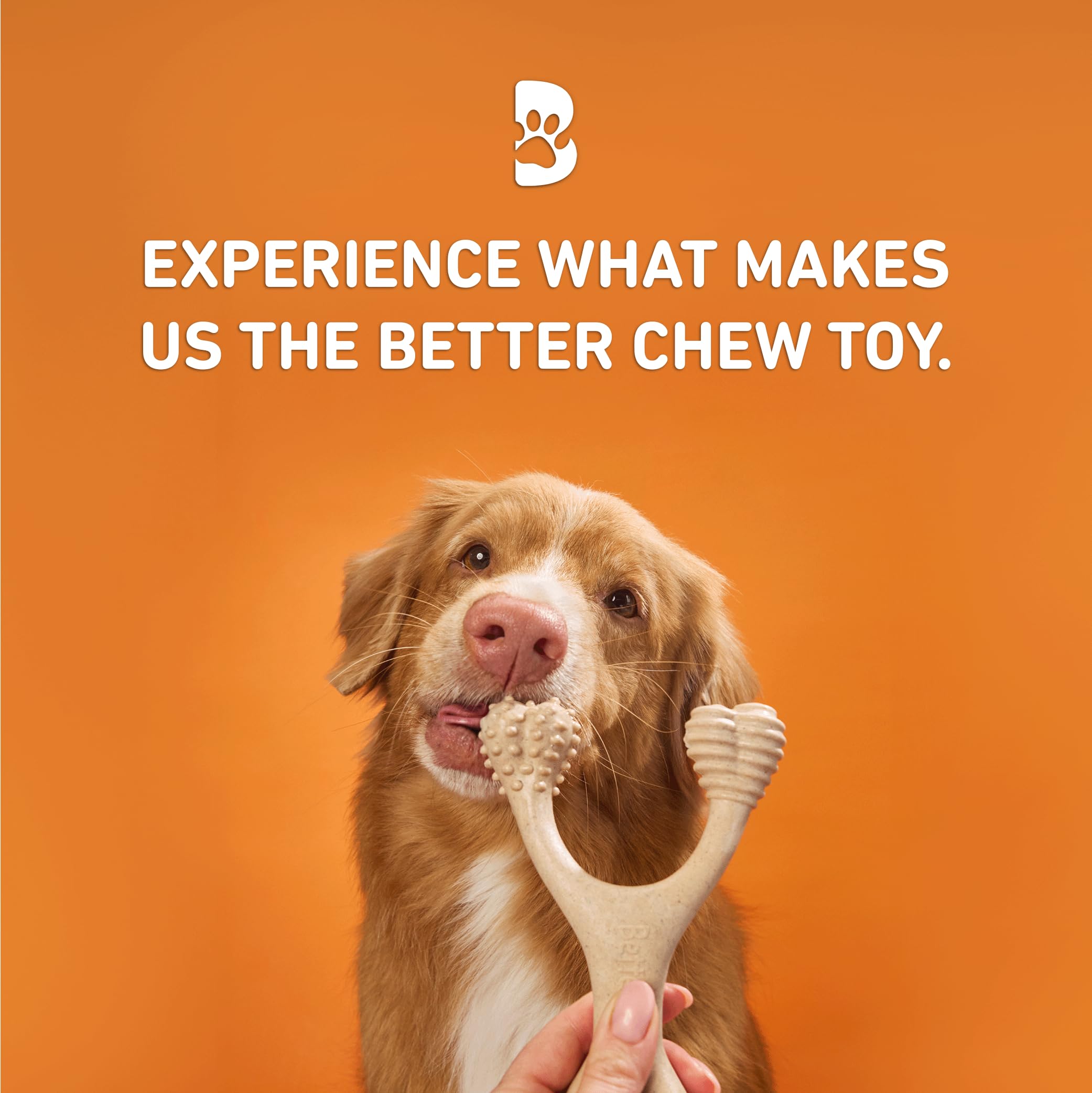 BetterBone Hard Dental Chew Toy - Enhanced Durability | Non-Toxic | Small Size for Dogs 3