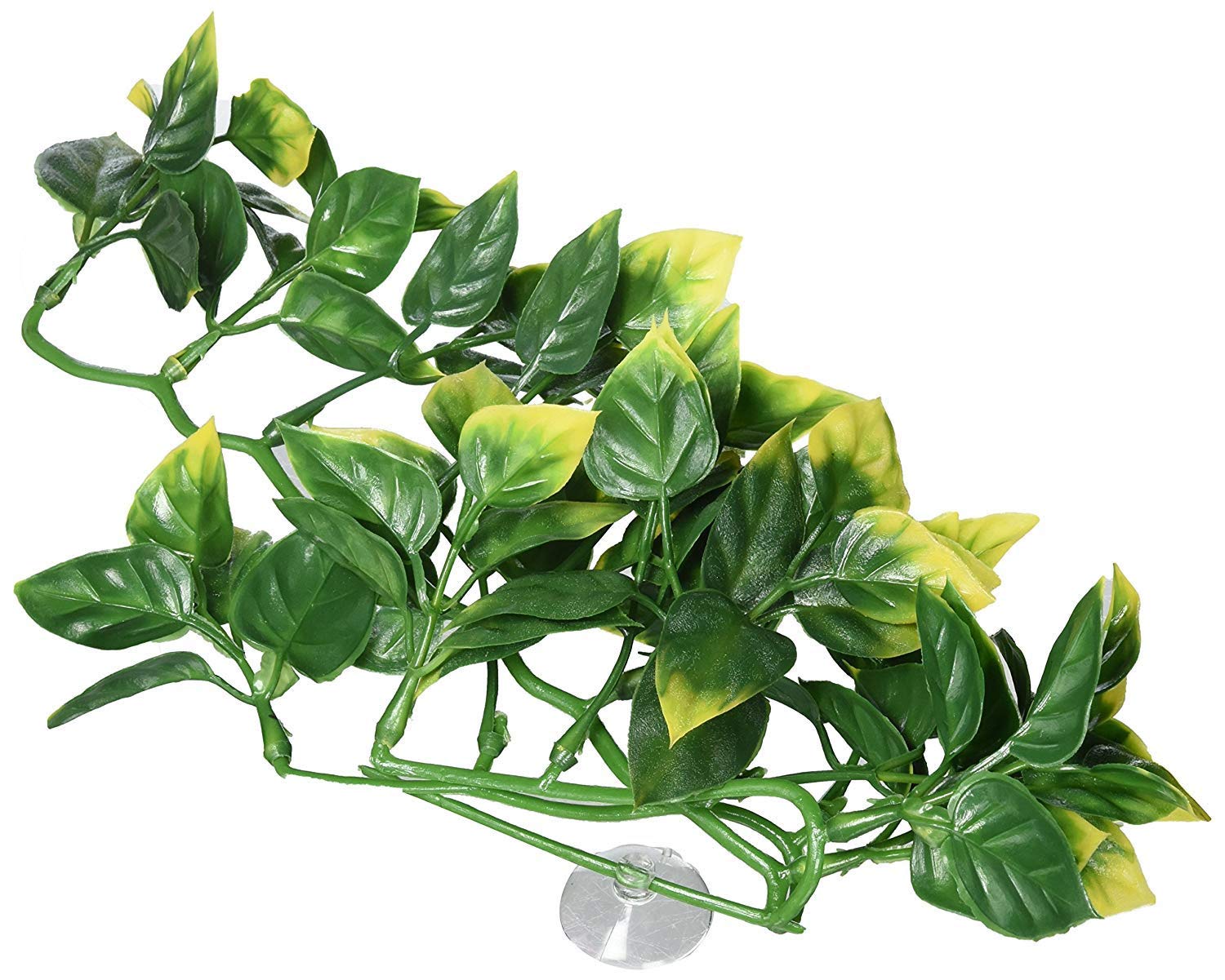 Exo Terra Plastic Amapallo Plant - Small Size, Realistic Reptile Decor | PT3001
