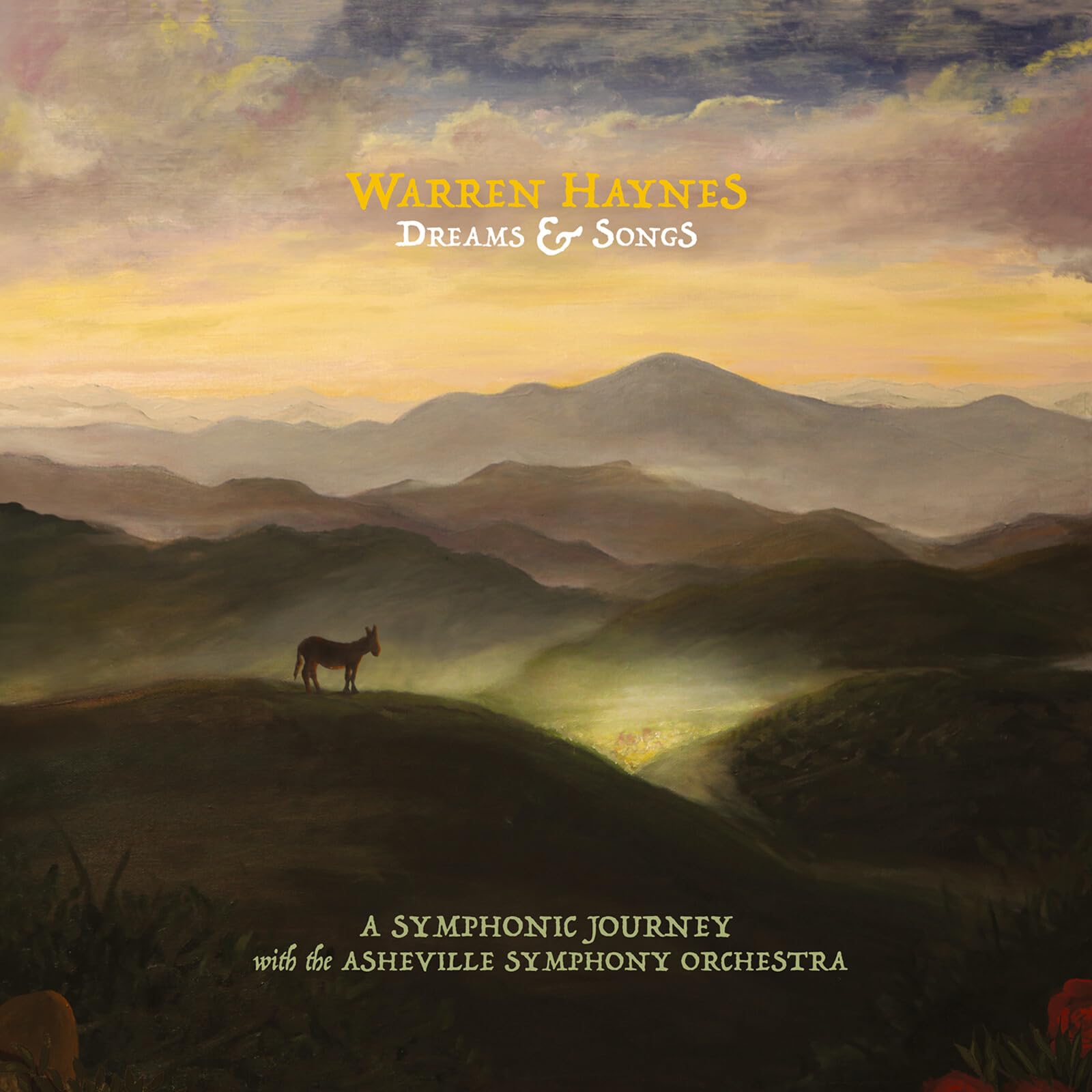 Warren Haynes - Dreams & Songs [CD]