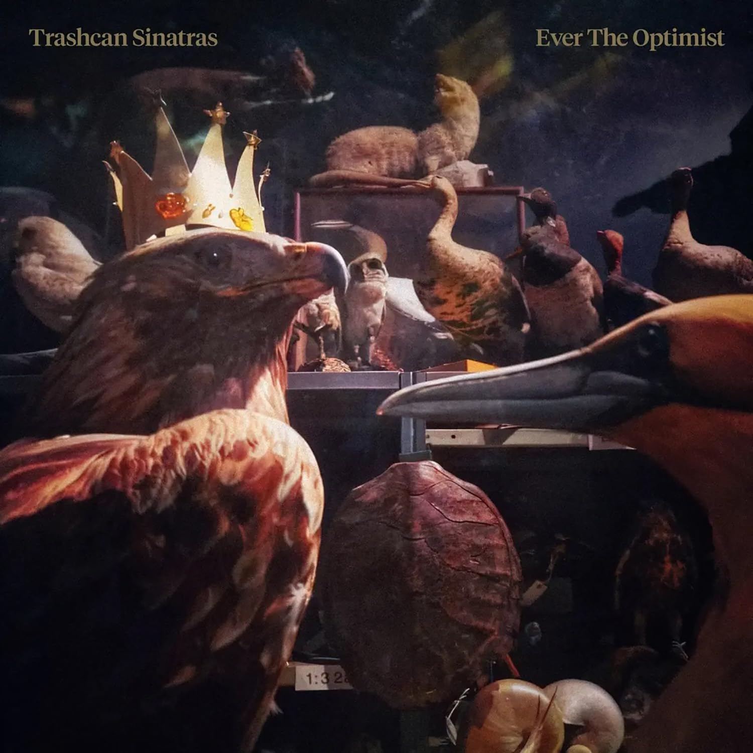 TRASHCAN SINATRAS - EVER THE OPTIMIST [CD] 1