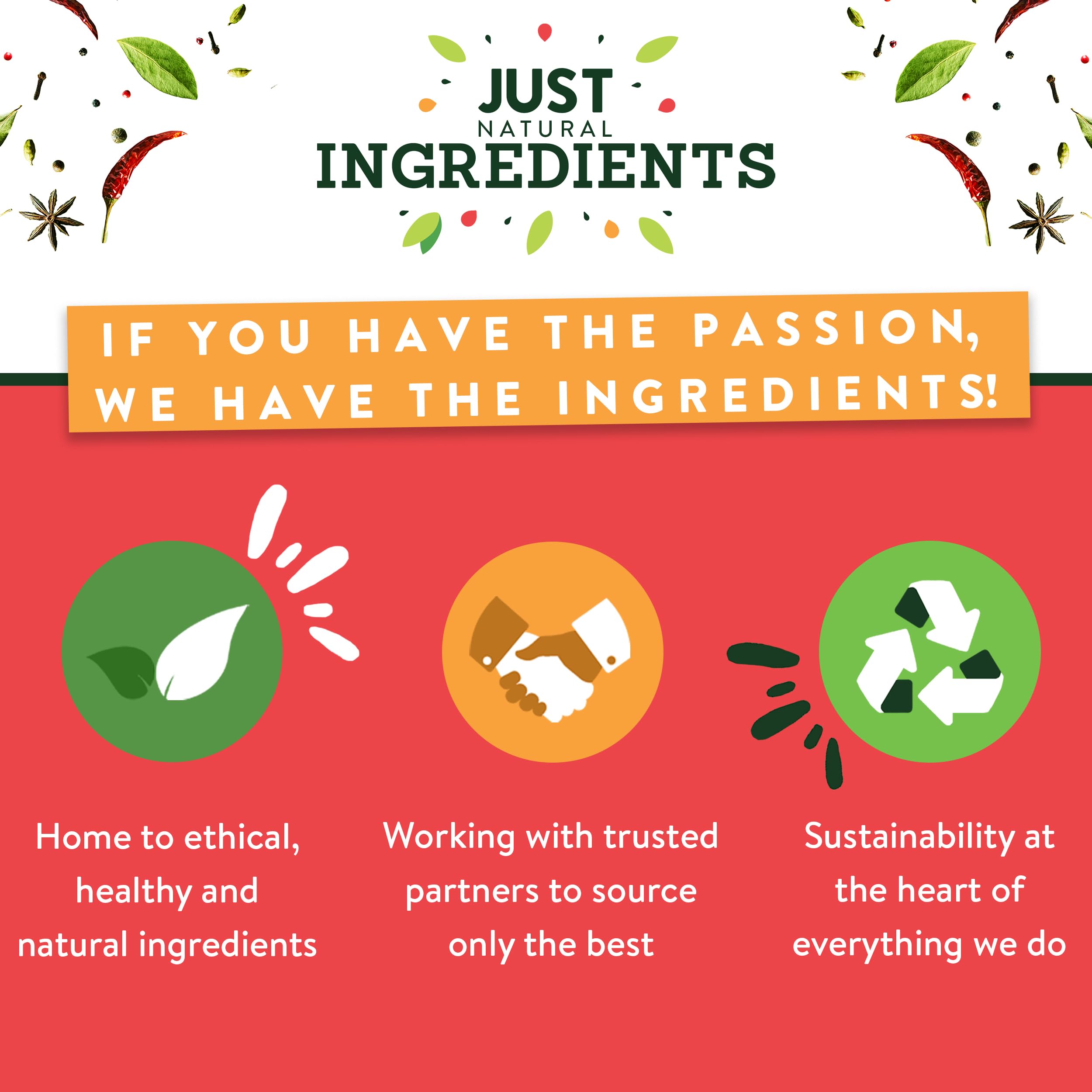 JustIngredients Tomato Flakes 100g - Organic Dried Tomatoes Flakes for Cooking 14