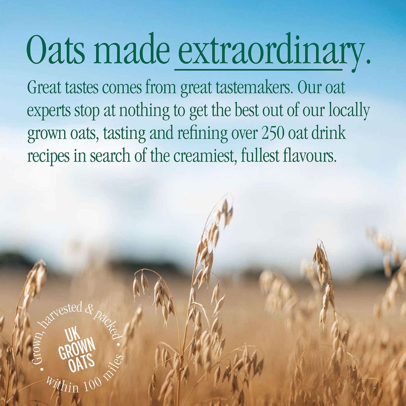 MOMA Signature Oat Drink - 1L - Plant-Based, Vegan, Calcium & Vitamin Enriched - Made with British Oats 3