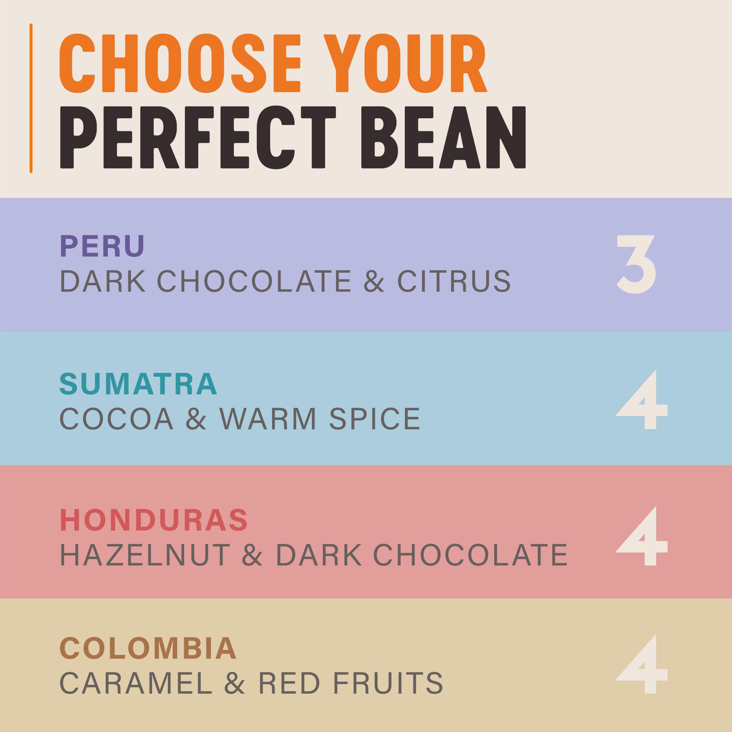 Grumpy Mule Sumatra Mount Gayo Organic Whole Coffee Beans - Fairtrade, Medium-Dark Roast with Cocoa & Warm Spice Notes 3