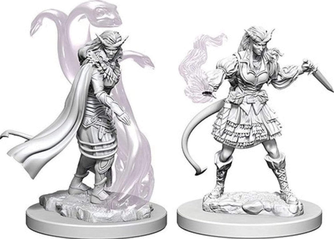 Dungeons & Dragons Adventure Pack Accessories (WK73388)