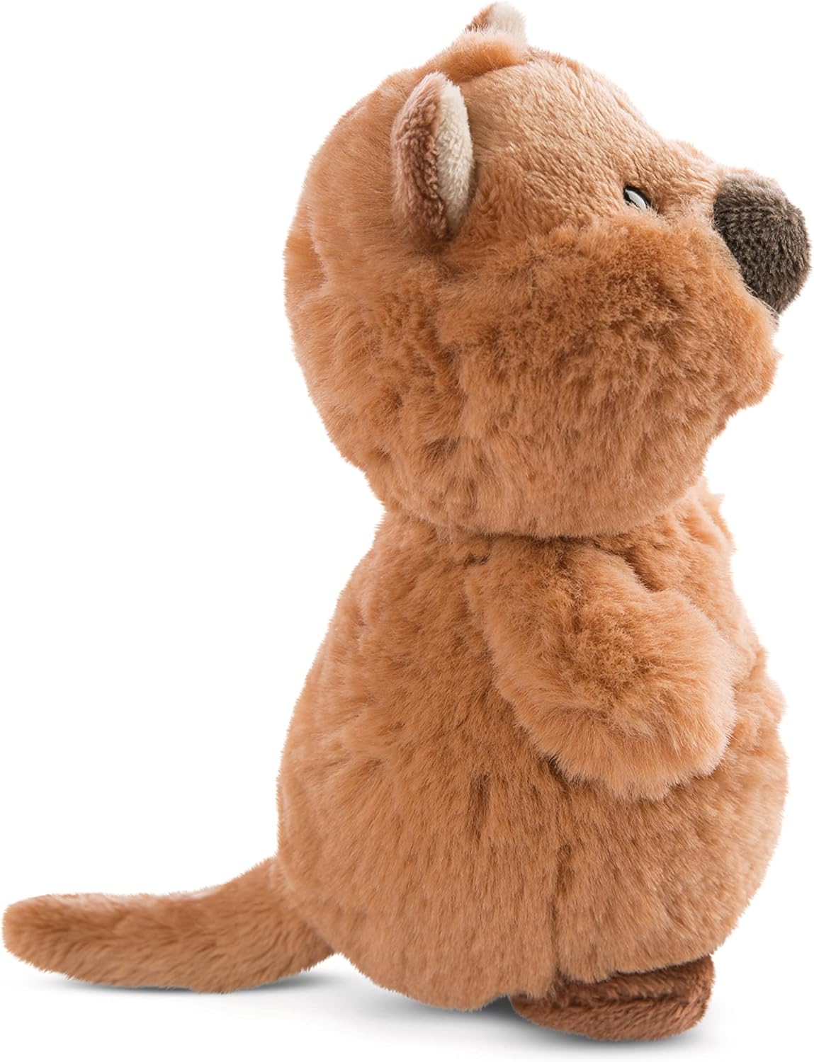 NICI Quokka-Mola 15 cm Plush Toy – Soft Cuddly Stuffed Animal for Babies & Kids 4