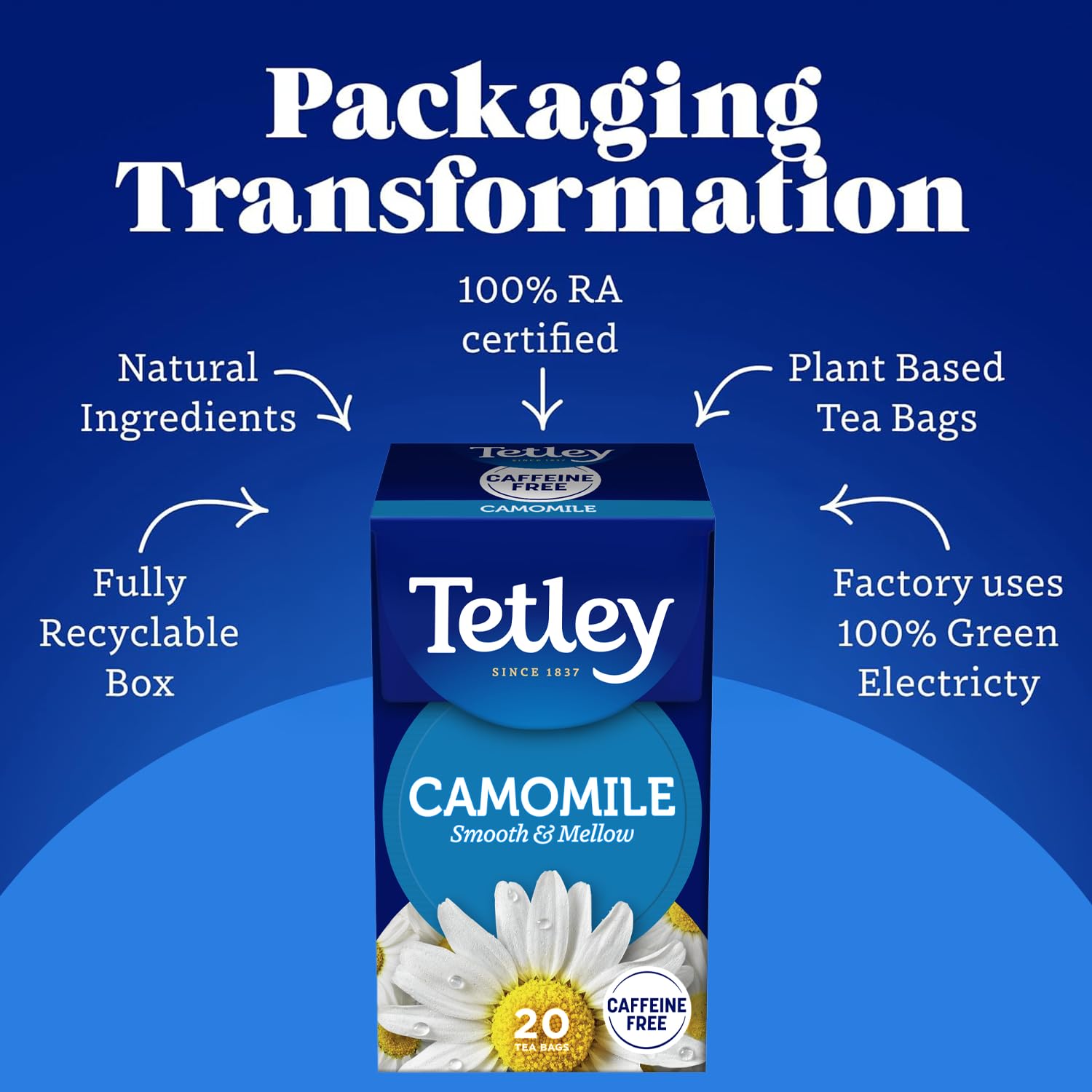 Tetley - Pure Camomile Tea 20 Teabags, Naturally Caffeine-Free Herbal Infusion 6