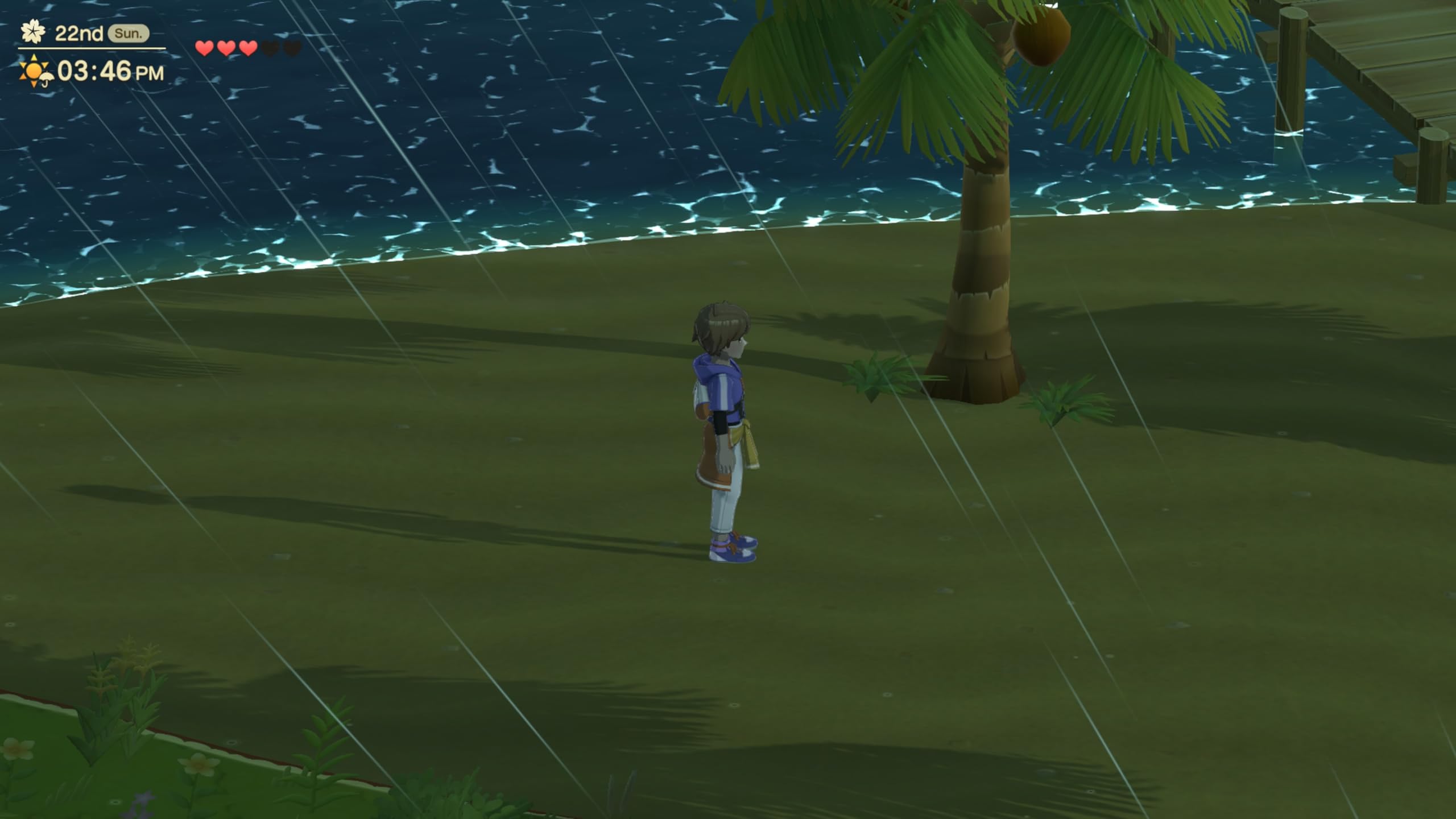 Harvest Moon: Home Sweet Home - Nintendo Switch Special Edition 6