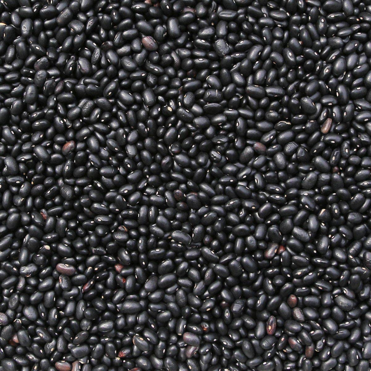 Wholefood Earth Organic Black Turtle Beans 1kg | GMO Free | Vegan | Raw 3