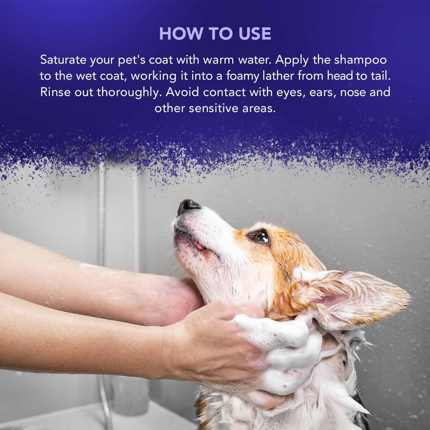 Wahl Diamond White Animal Shampoo - Brightens Light & White Coats | Ready to Use | 250ml 4