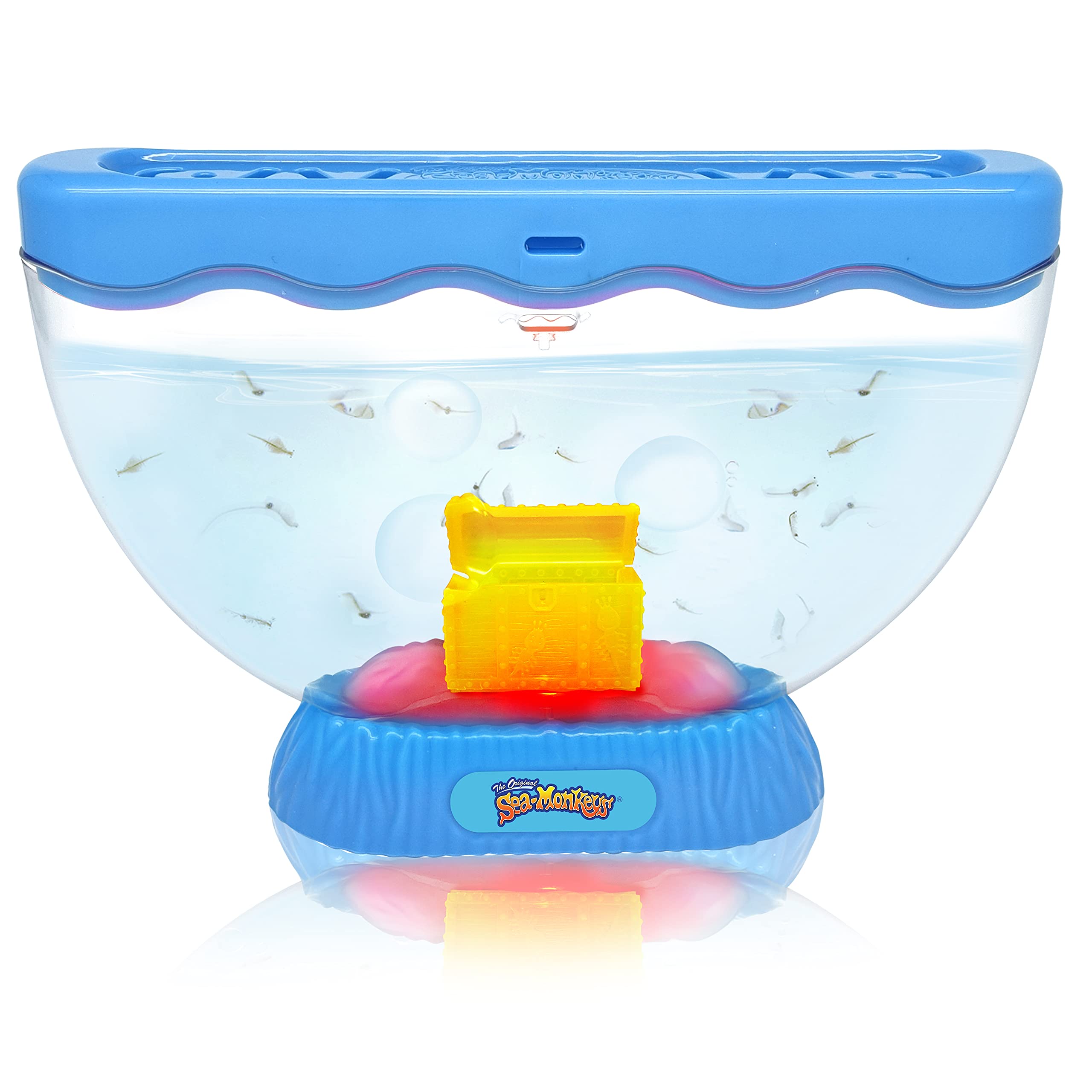 Sea Monkeys Ocean Treasure Aquarium - Educational Science Kit for Kids 6+