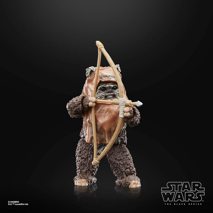 Hasbro Star Wars The Black Series Return of the Jedi - Wicket 6-Inch Action Figure (F7050)