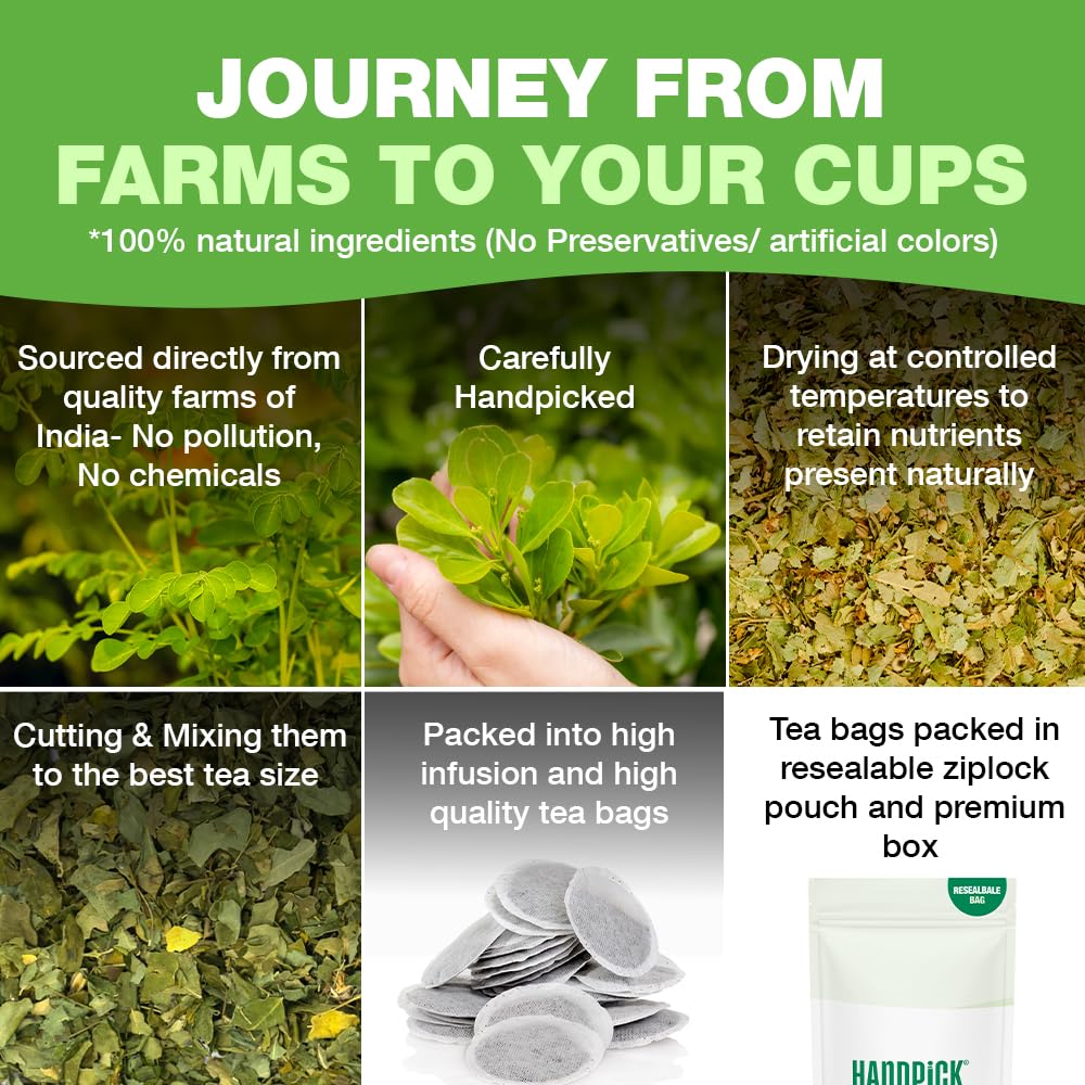 HANDPICK Moringa Tea Bags (100 Count) Non-GMO, Caffeine Free, Pure Moringa 7