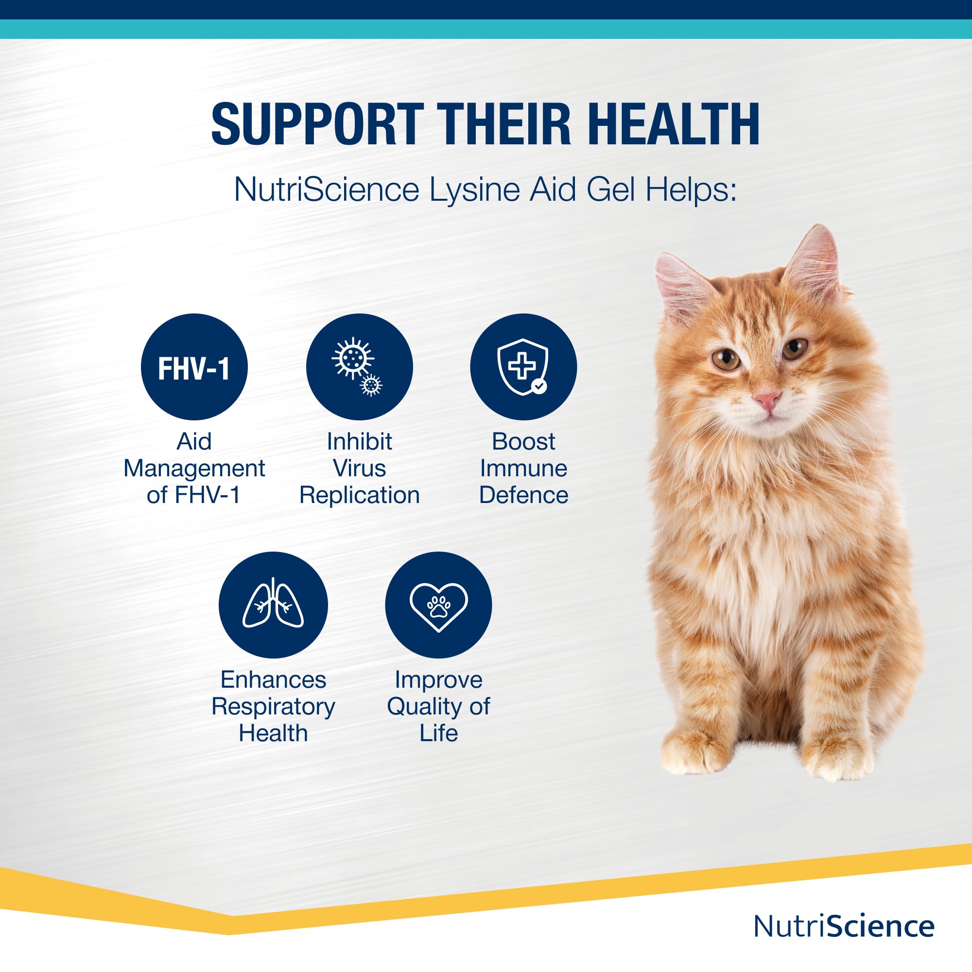 NutriScience Lysine Aid Cat Gel - Immune Support for FHV-1 Symptoms | 50ml 2