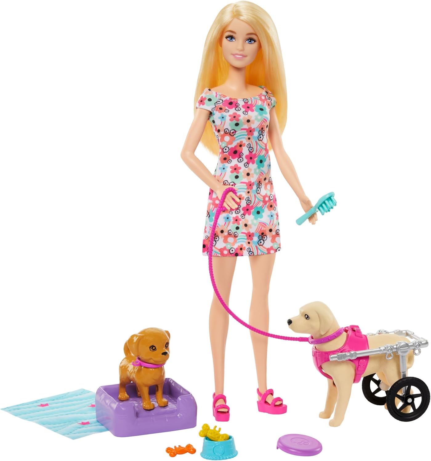 Barbie Doll with 2 Toy Dogs & Pet Accessories - Wheelchair-Inclusive Playset for Ages 3+ 5
