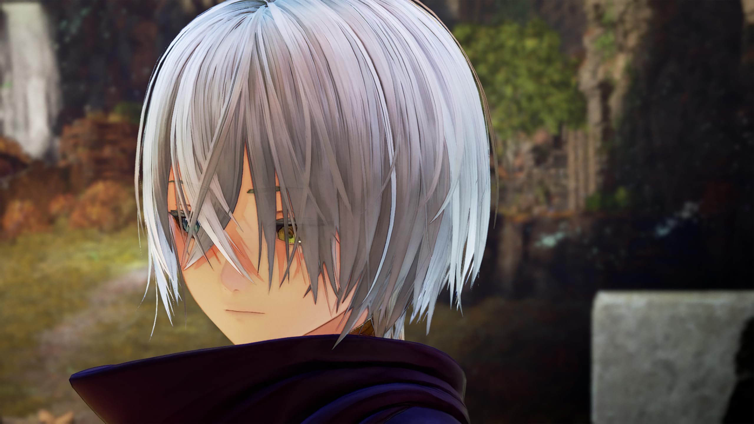 Tales of Arise: Beyond the Dawn Edition [Nintendo Switch] 4