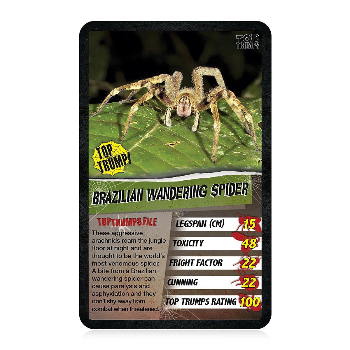 Top Trumps Spiders Classics Card Game - Educational Wildlife Game for Kids Ages 6+ 4