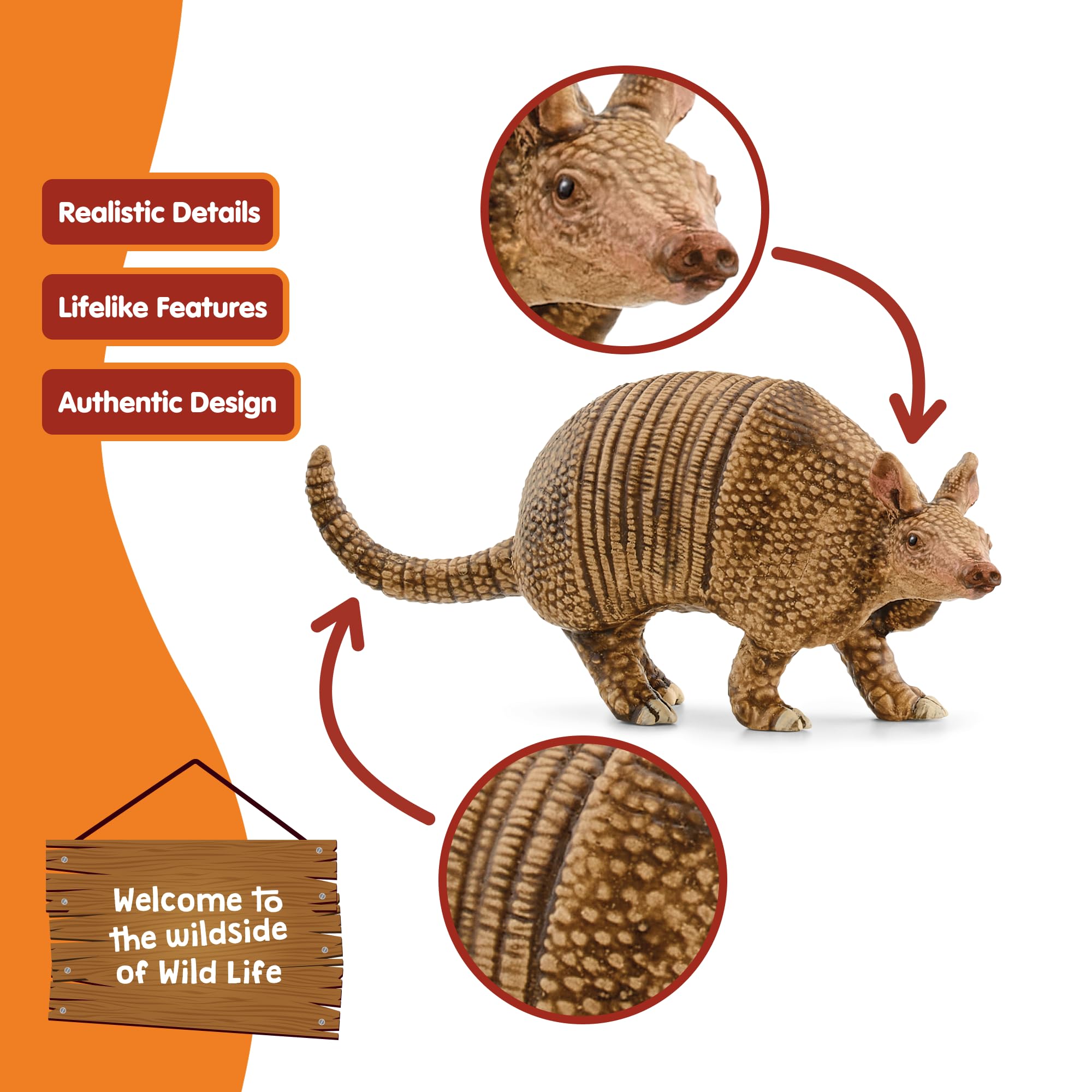 SCHLEICH Armadillo Figurine - Highly Detailed Wildlife Toy for Ages 3+ 6