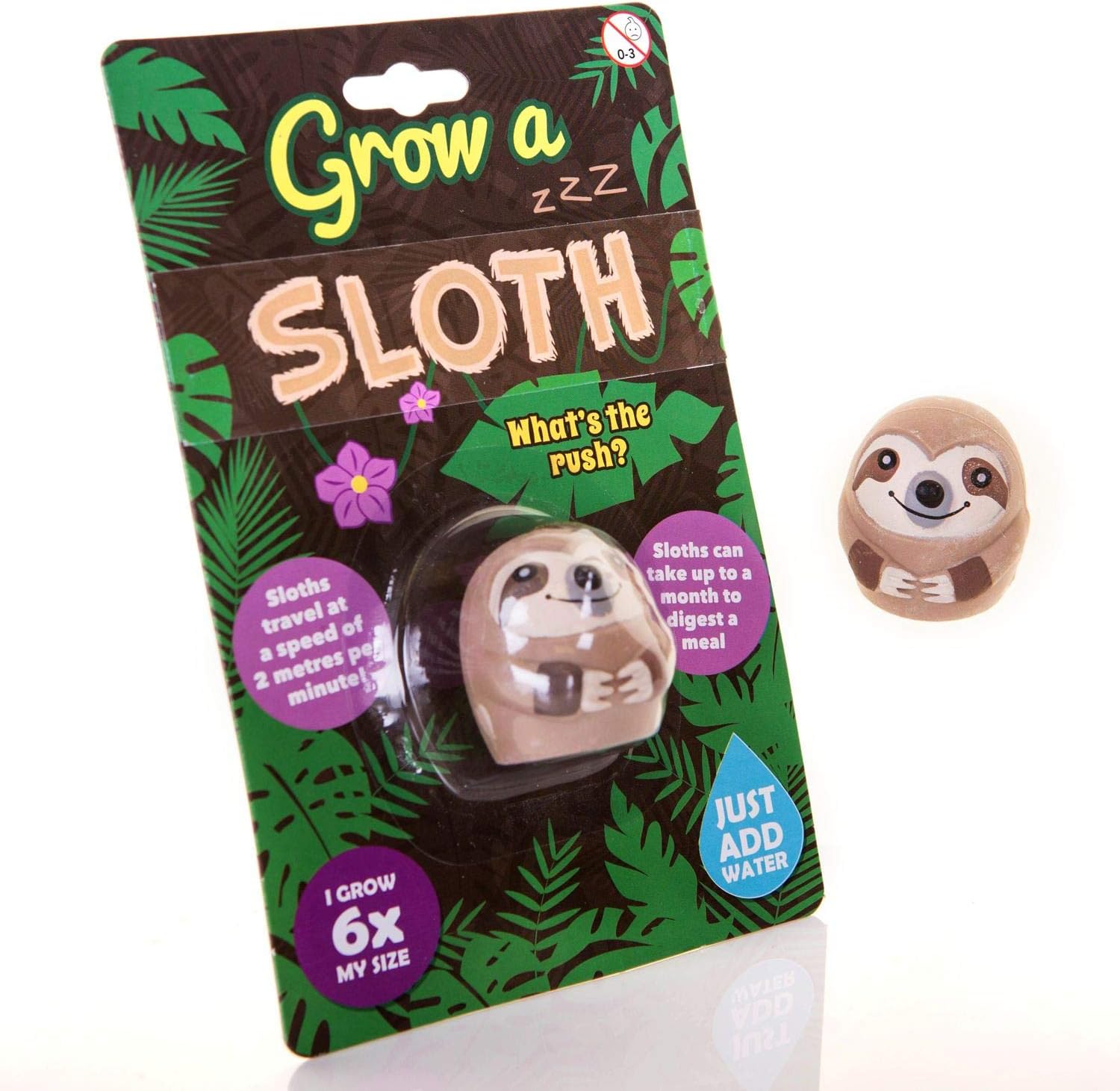 Grow a Sloth Toy - Just Add Water, Expands Up to 6x Size - Fun for Kids Ages 5-8