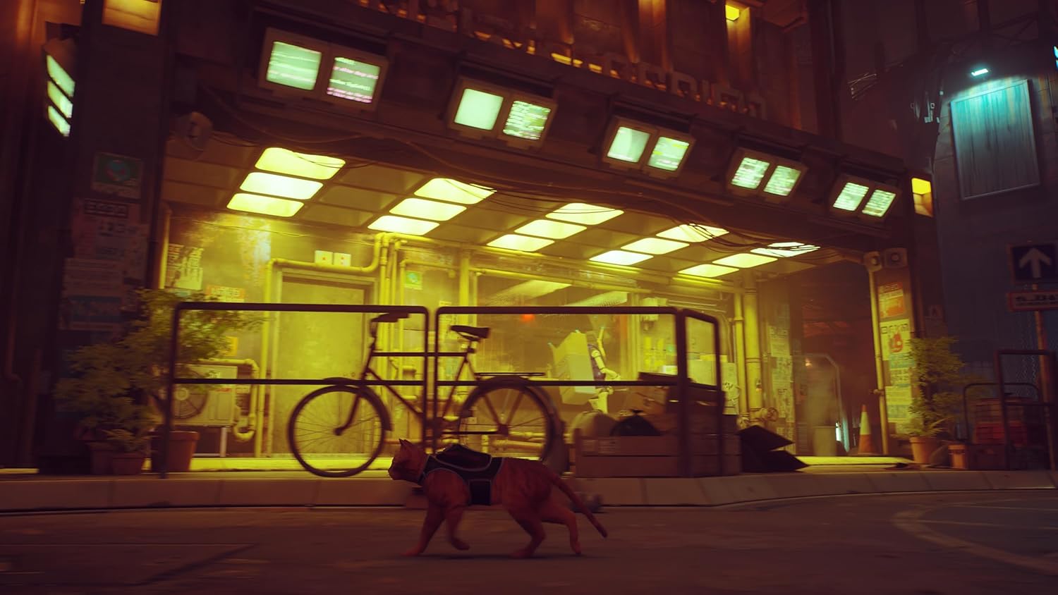 Stray (Nintendo Switch) 5