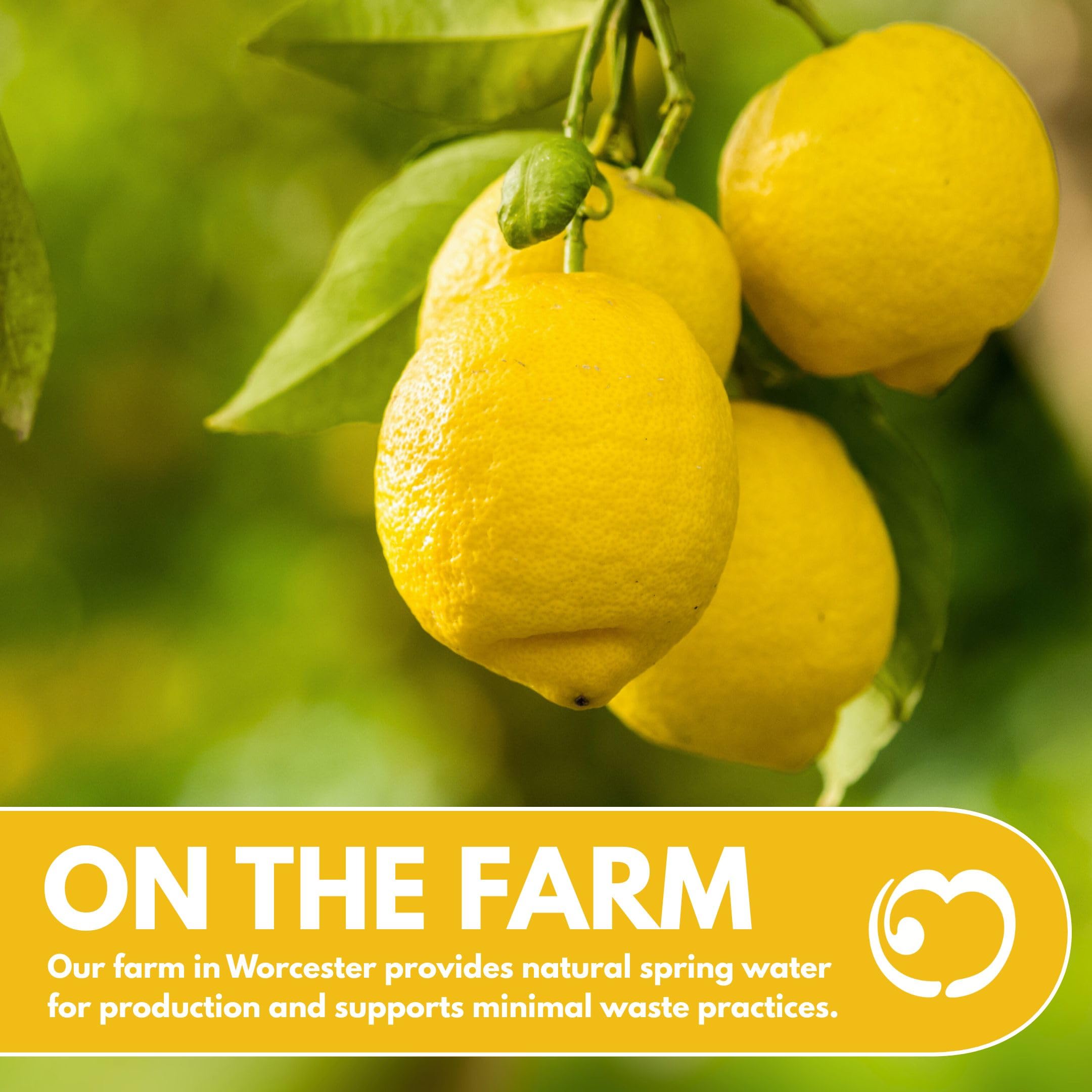 LITTLE MIXERS Quality 100% Pure Lemon Juice for Cocktails & Desserts | 1 Litre Carton 6